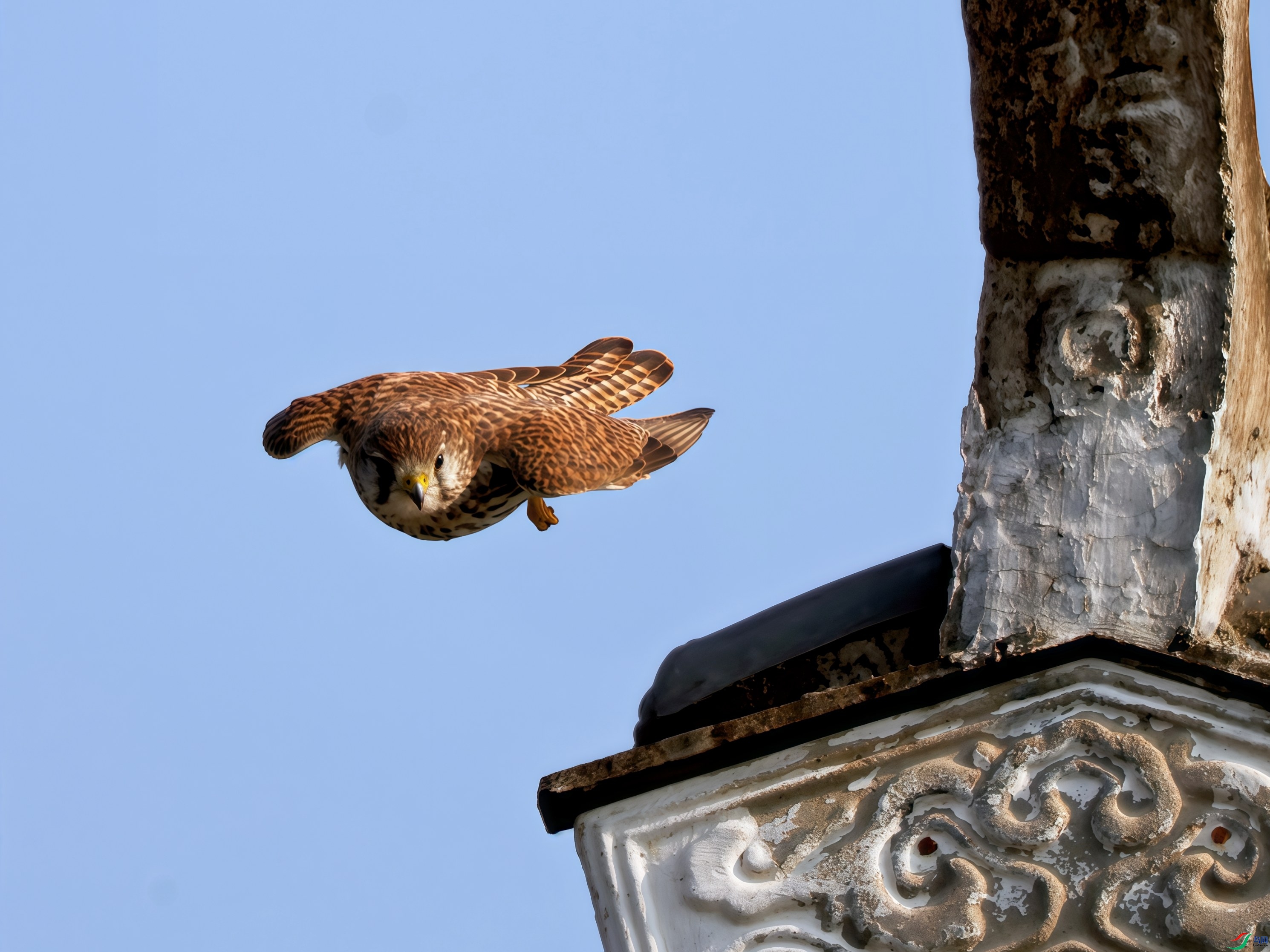 �����١����š�