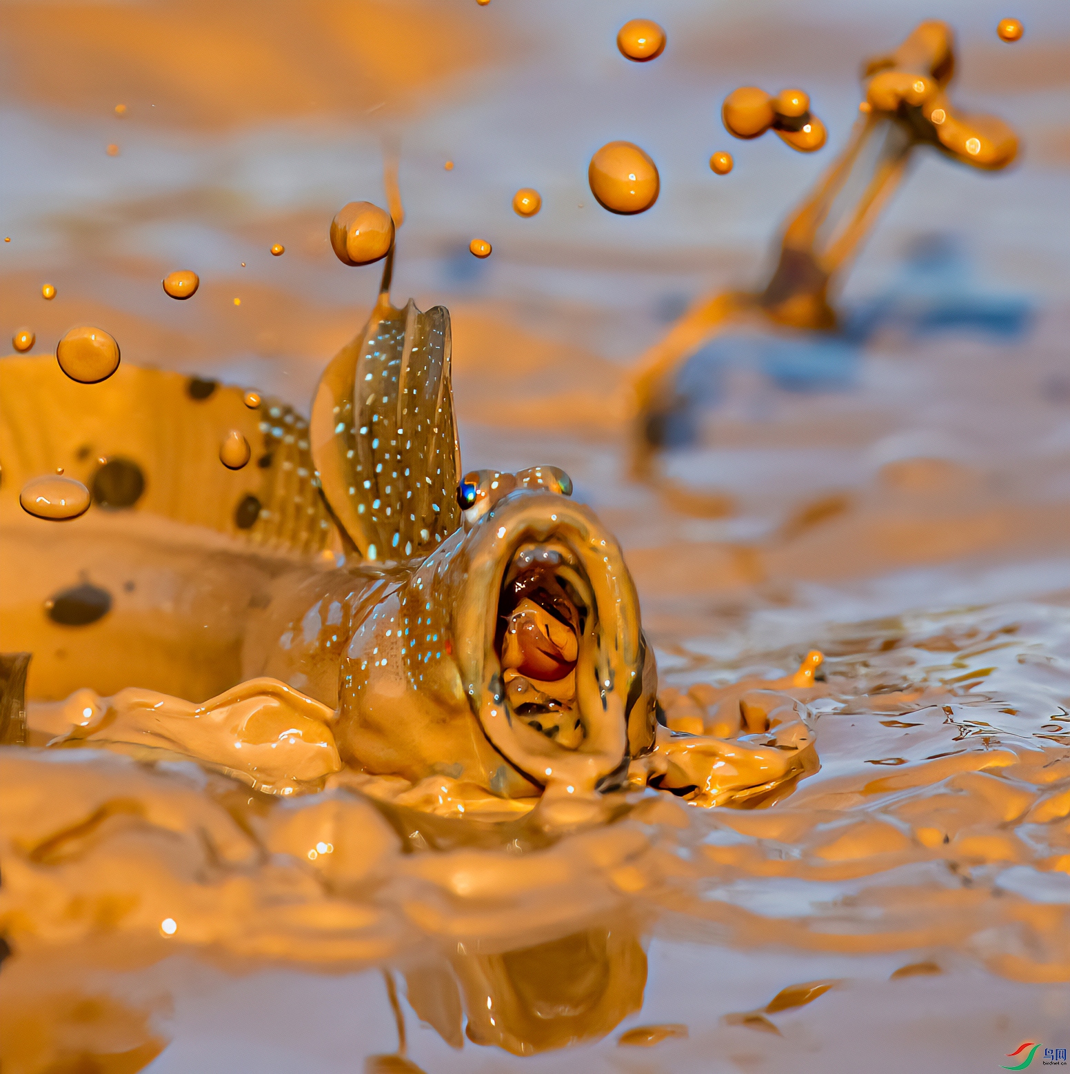 �ź� ��Ϳ�� ����=13901785463.jpg