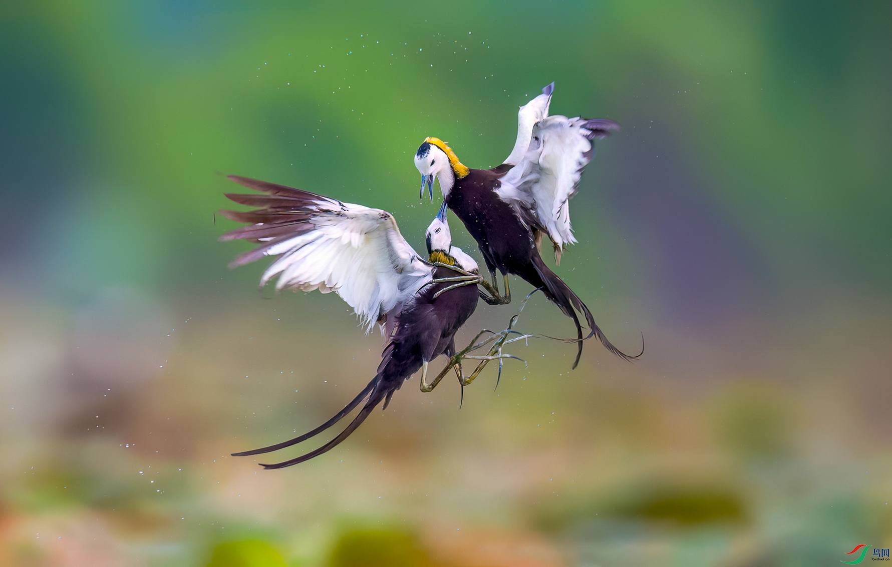 236_��ҧ���� ����.JPG