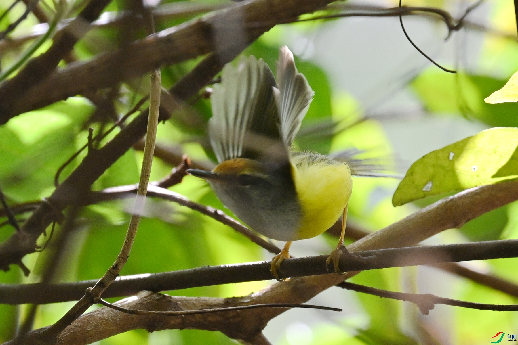 DSC_5924.JPG