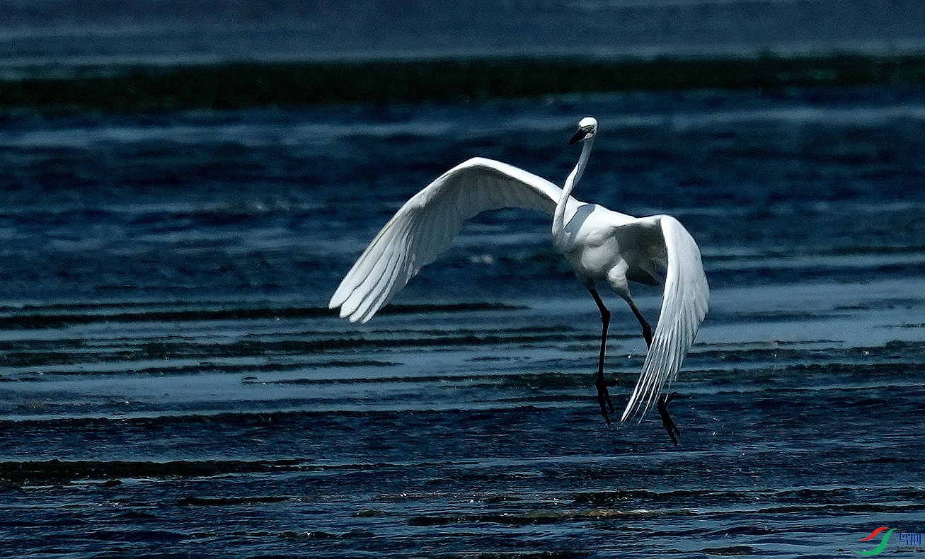 DSC00677.JPG