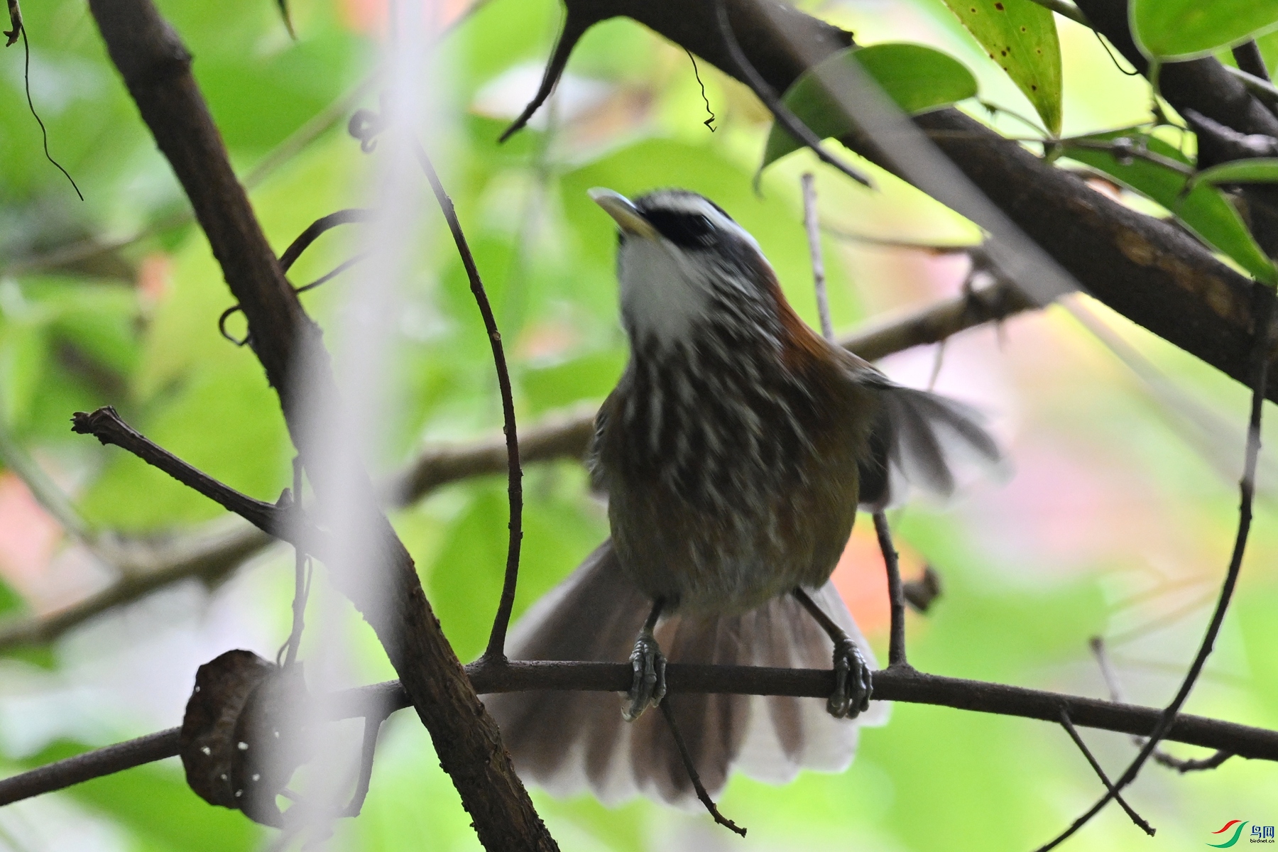DSC_5898.JPG