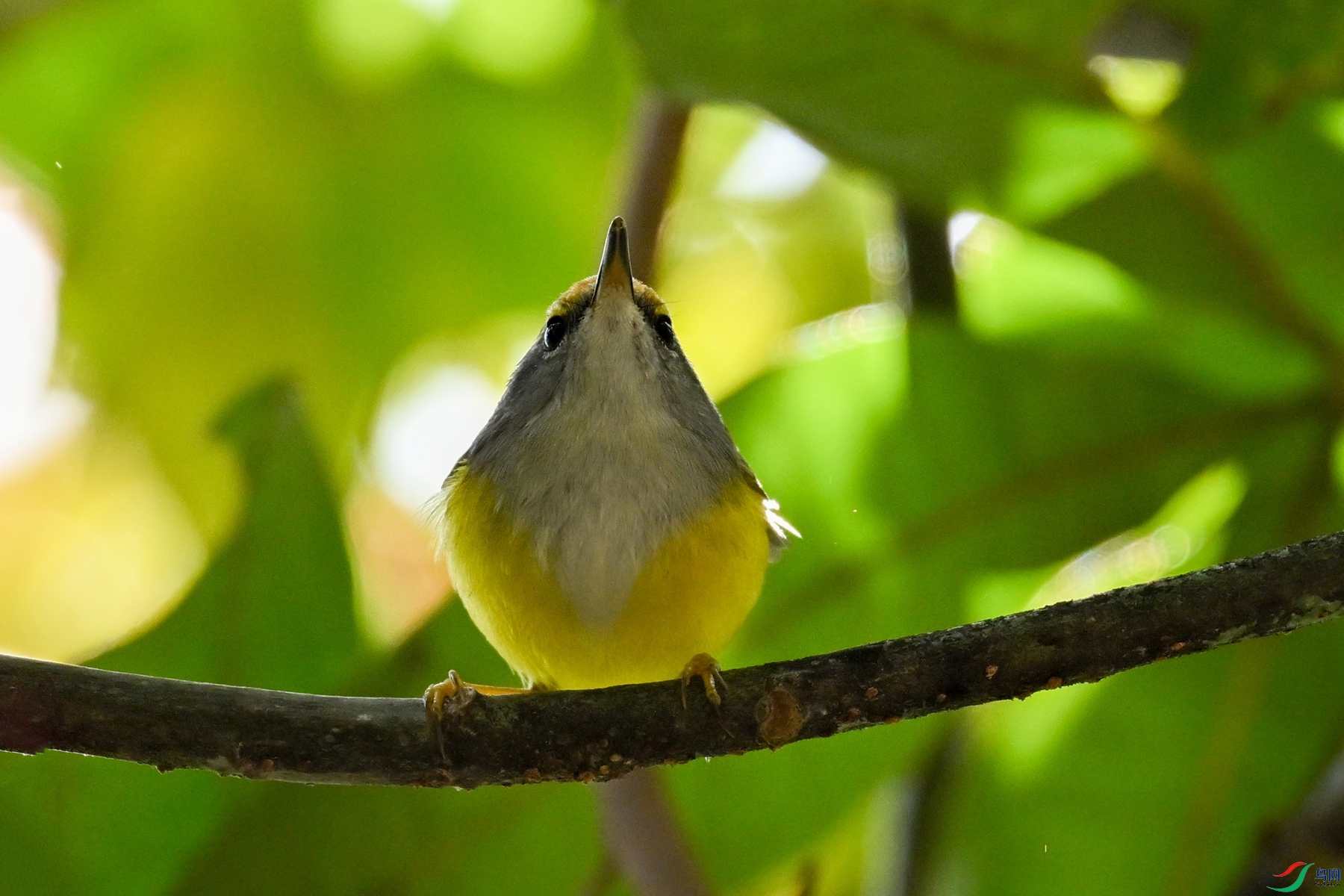 DSC_5904.JPG