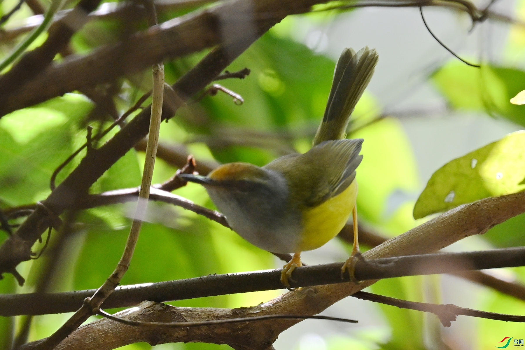 DSC_5925.JPG