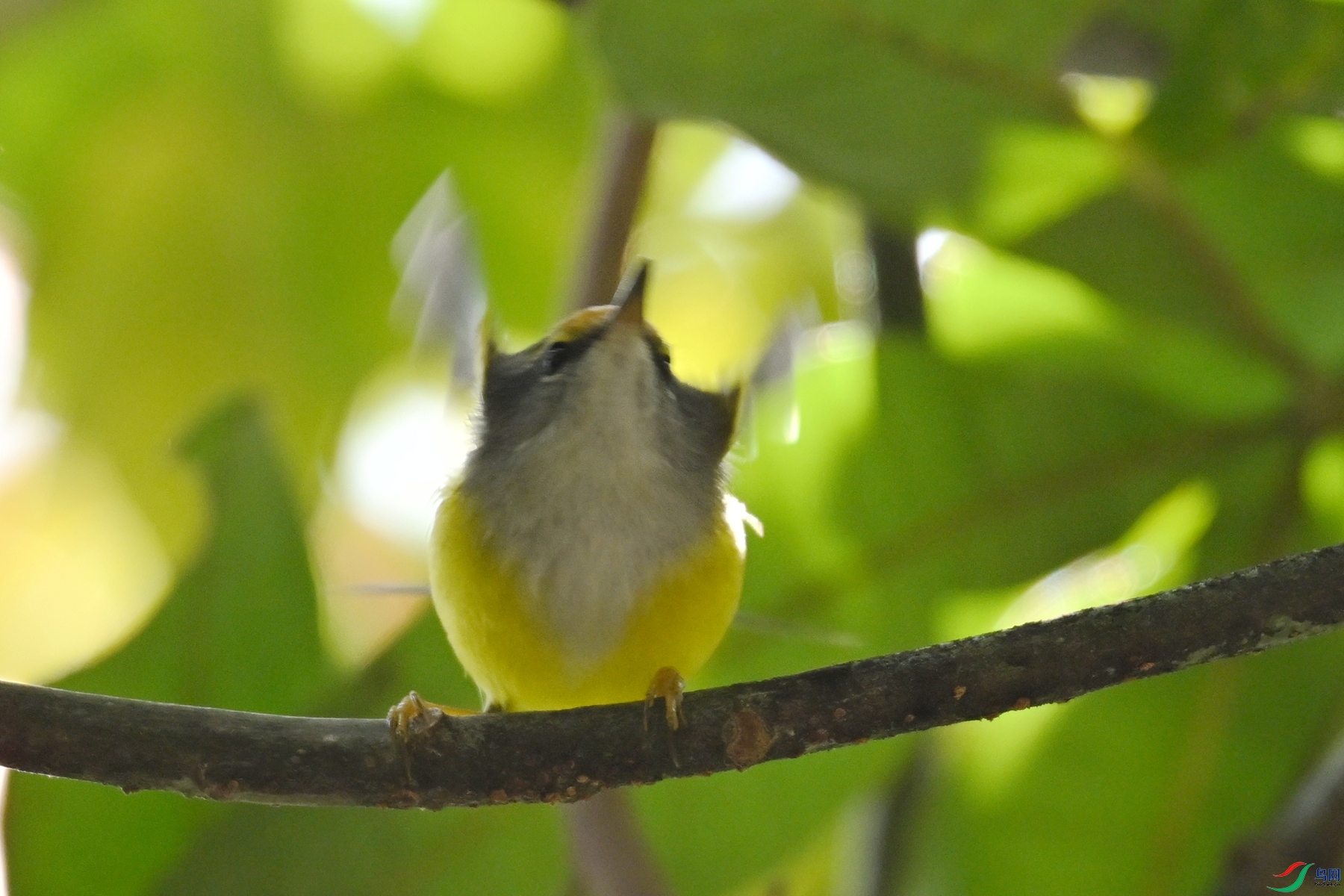 DSC_5905.JPG
