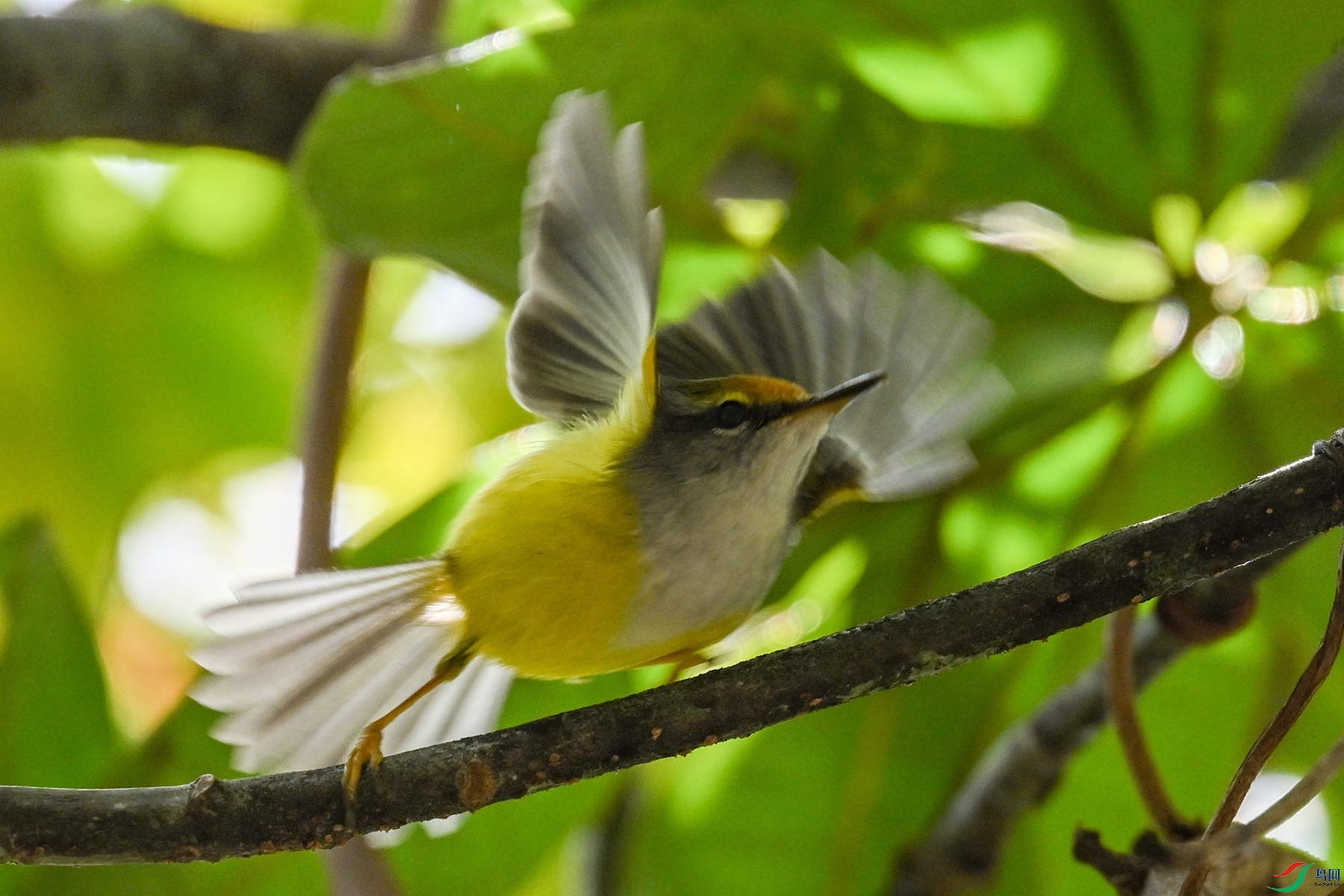 DSC_5907.JPG