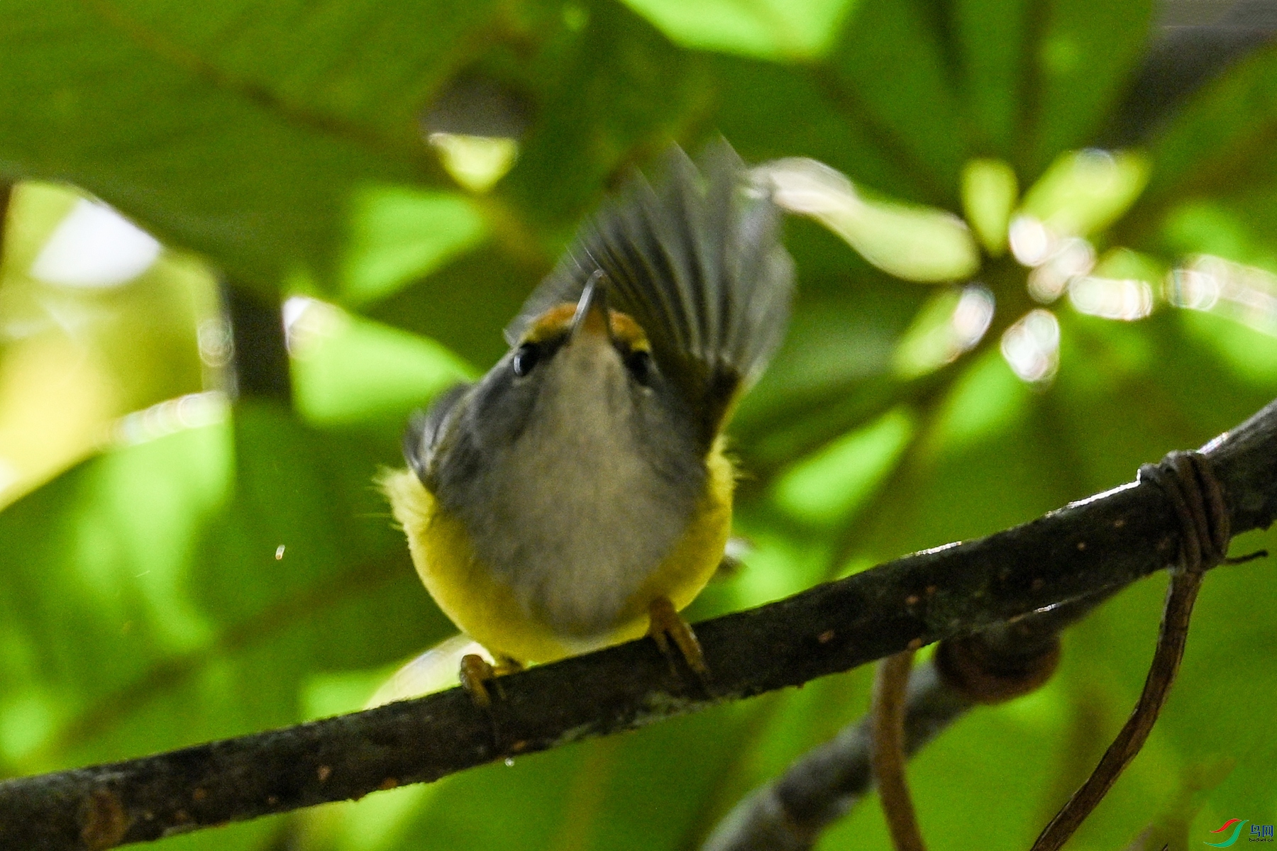 DSC_5908.JPG