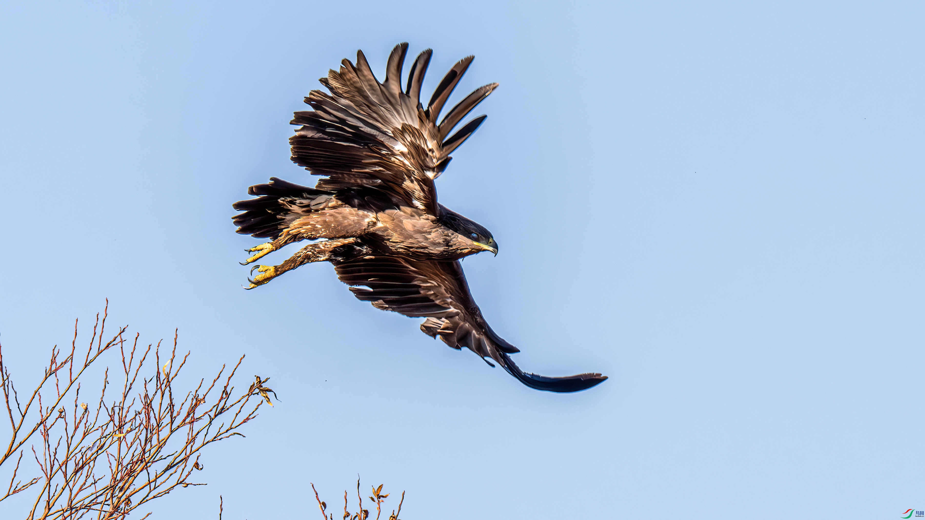 DSC_2197.jpg