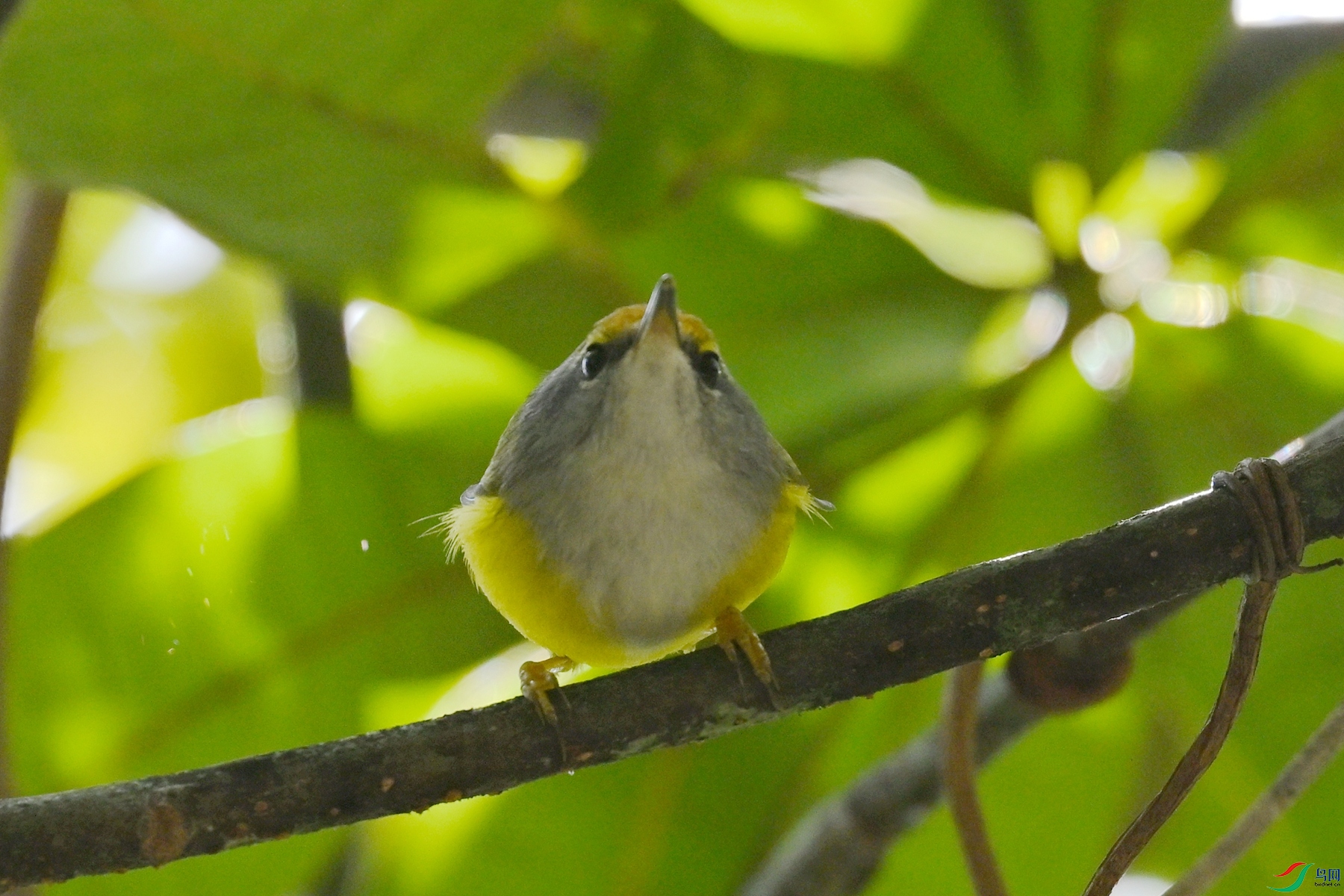 DSC_5909.JPG