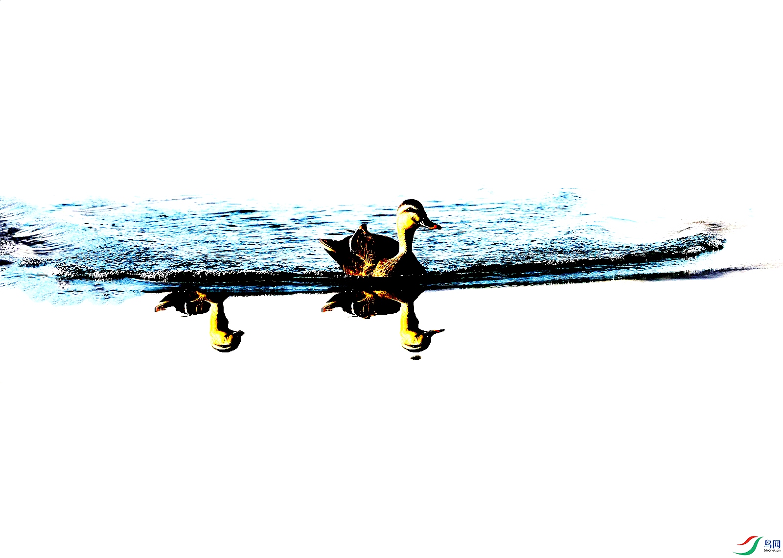9W2A8066.JPG