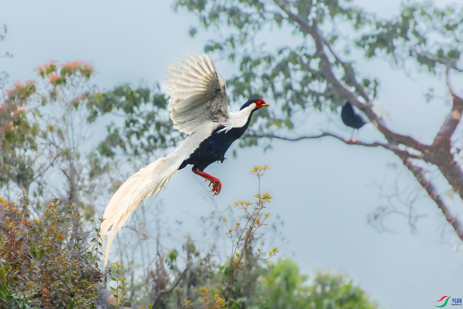 ����----��������Ծ��ʱ