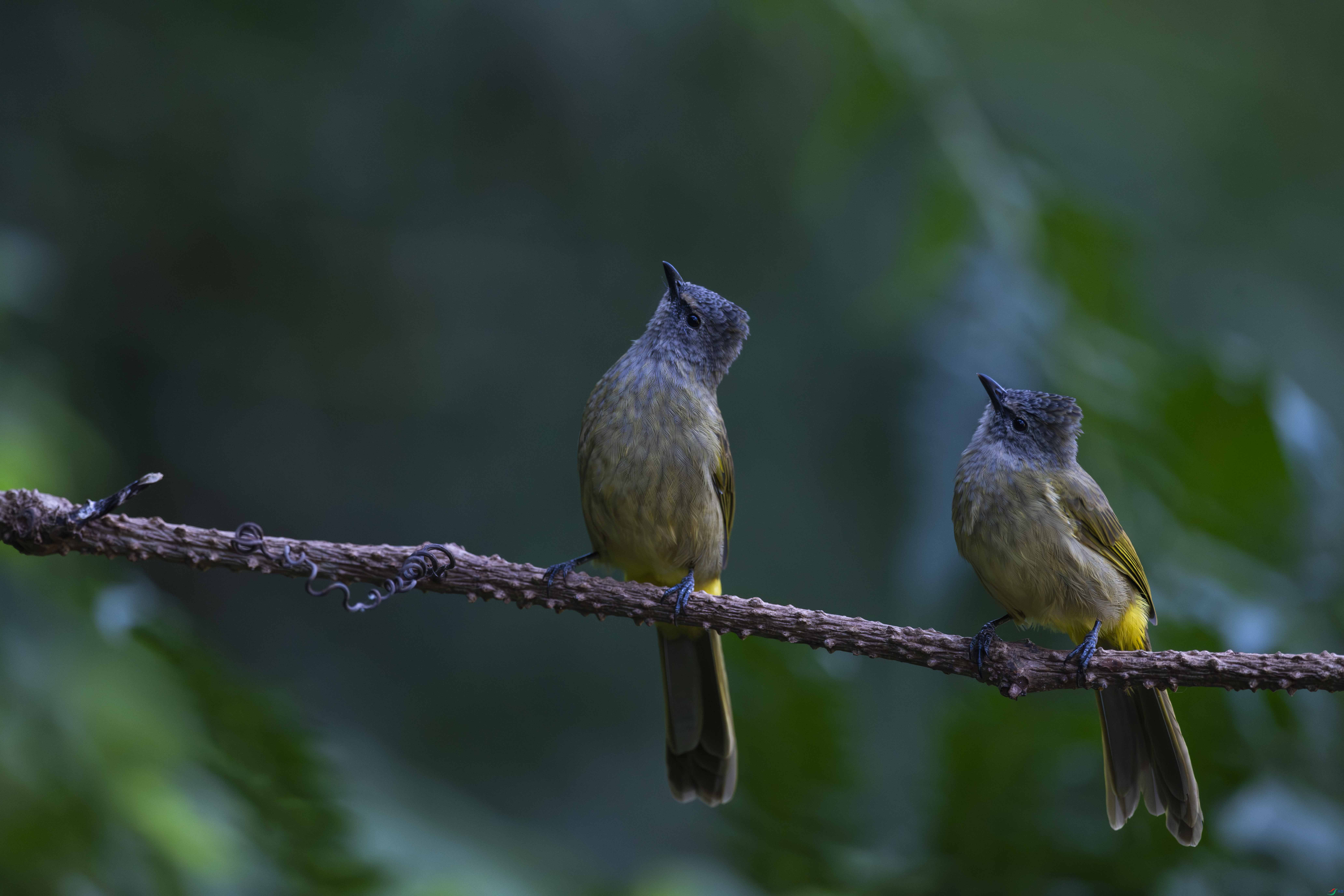 DSC_8787_1.jpg