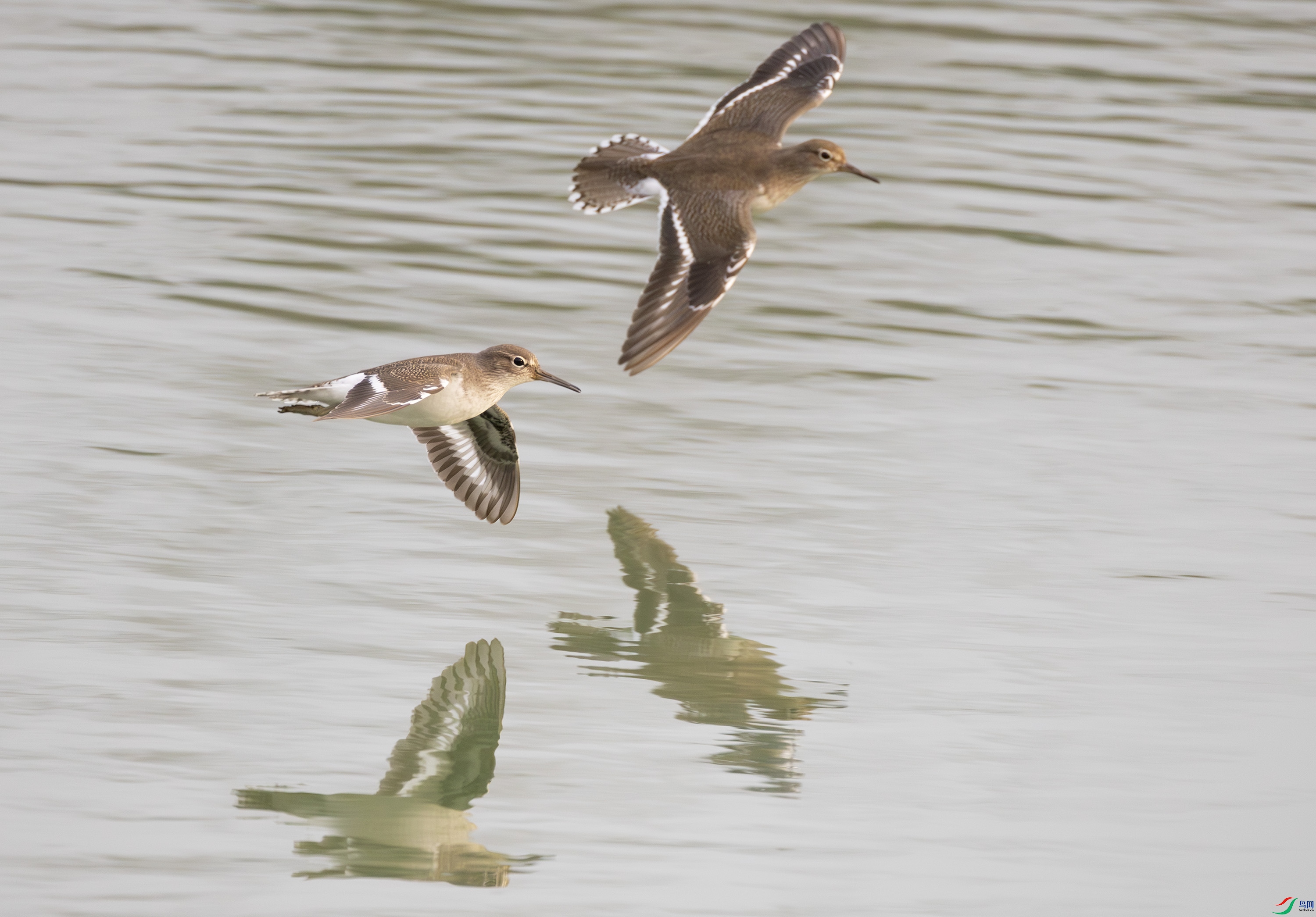 G47A5428-����ǿ-NR ����.jpg