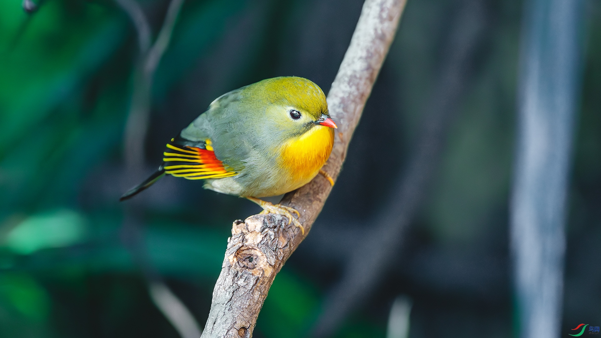 DSC_6997-����ǿ-NR ����.jpg