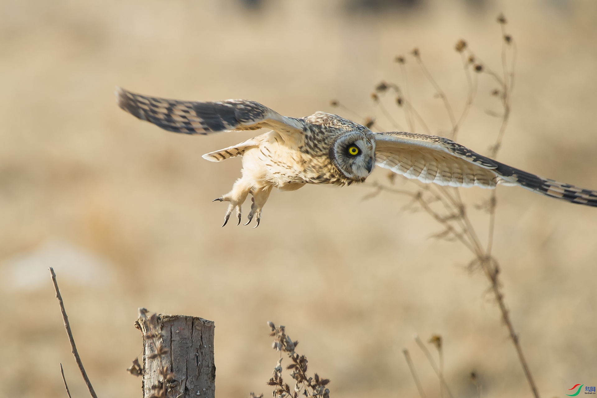 DSC_1022-20201221�ü�.jpg