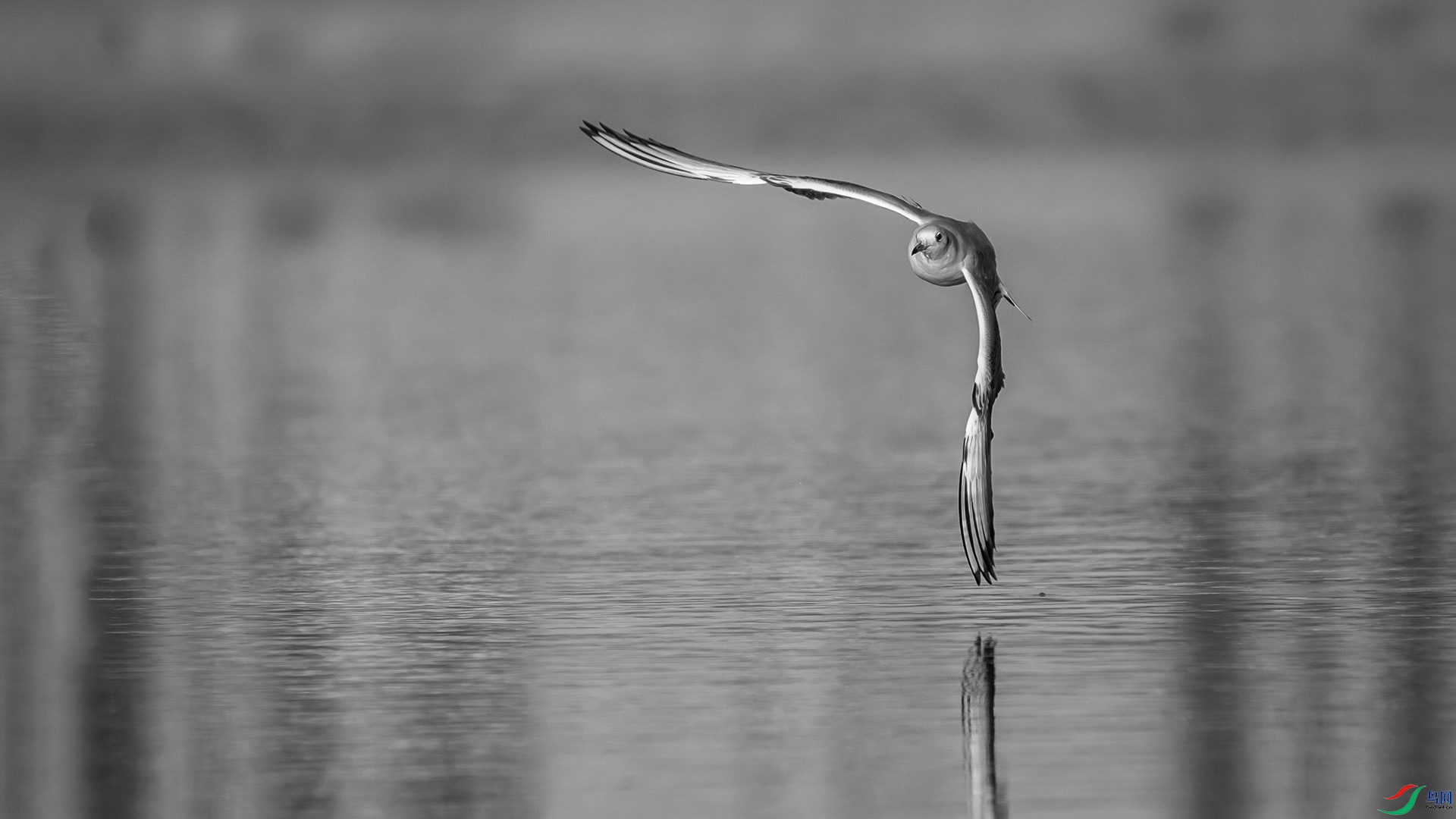 DSC06190 ���� 2.jpg