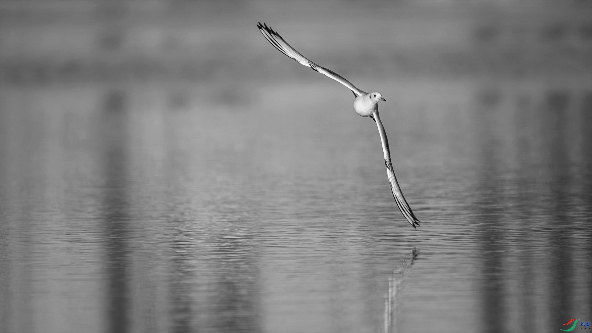 DSC06191 ���� 2.jpg