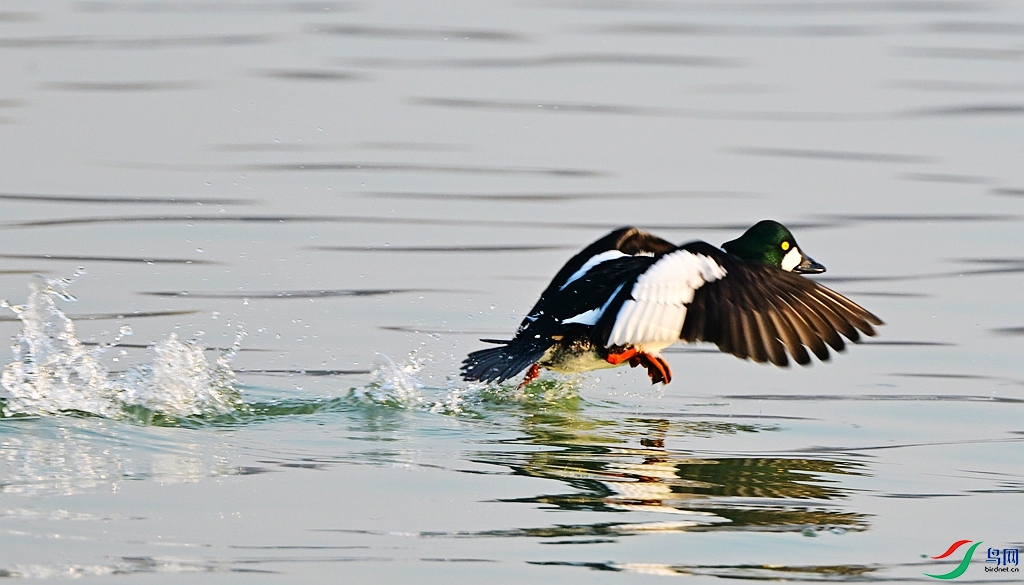 DSC_2267.JPG