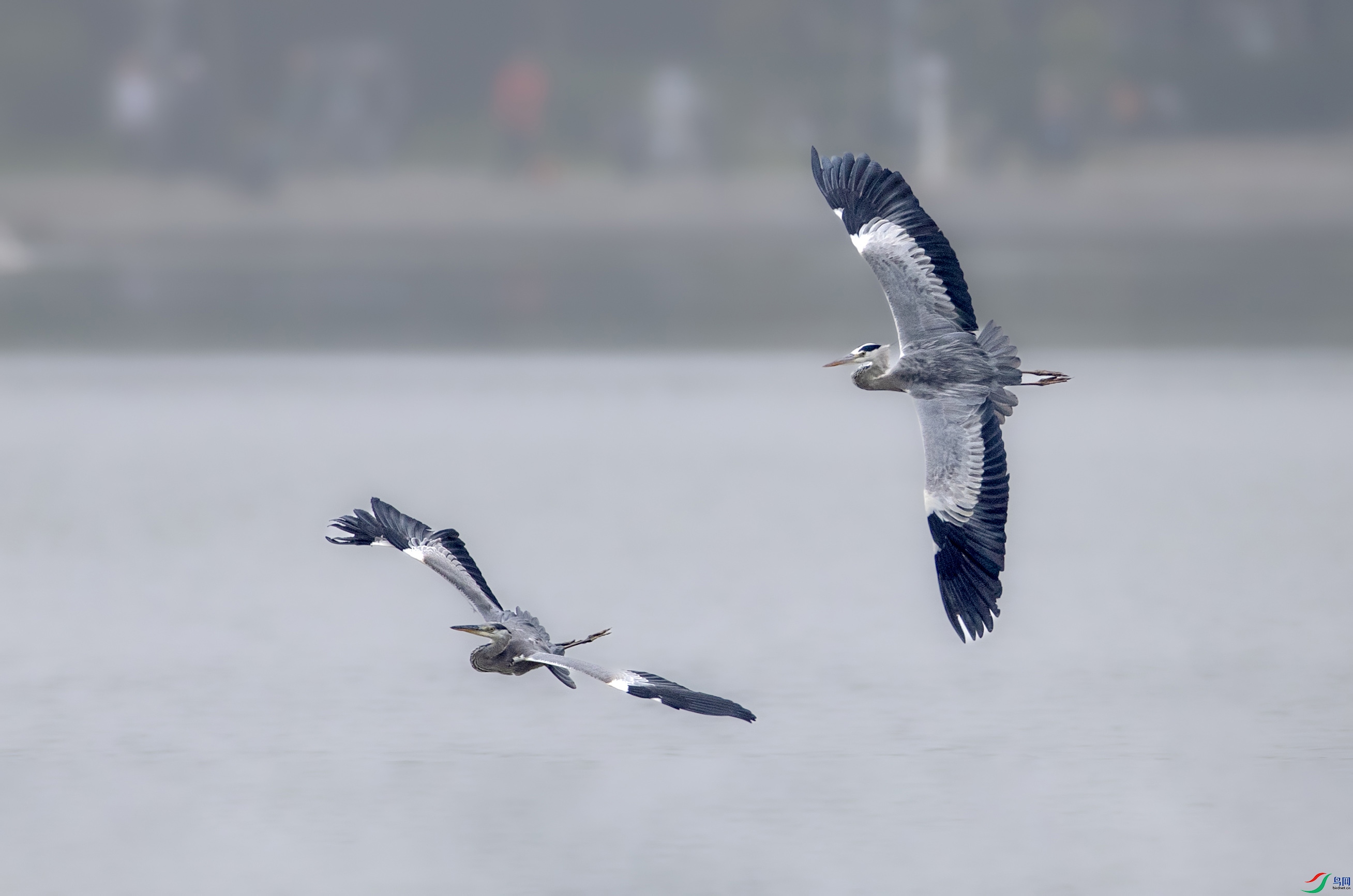 A79I4549 ����.jpg