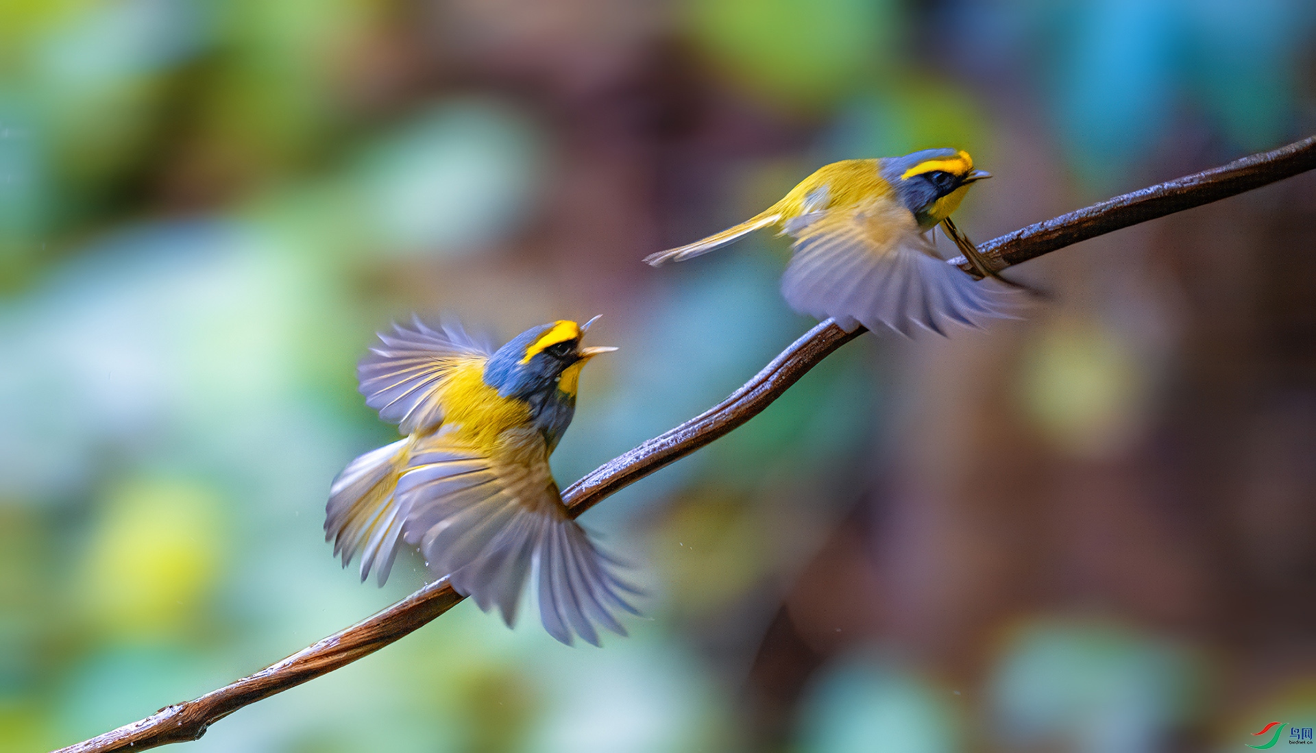 _����2�� �������� ˫ݺ��֦.jpg