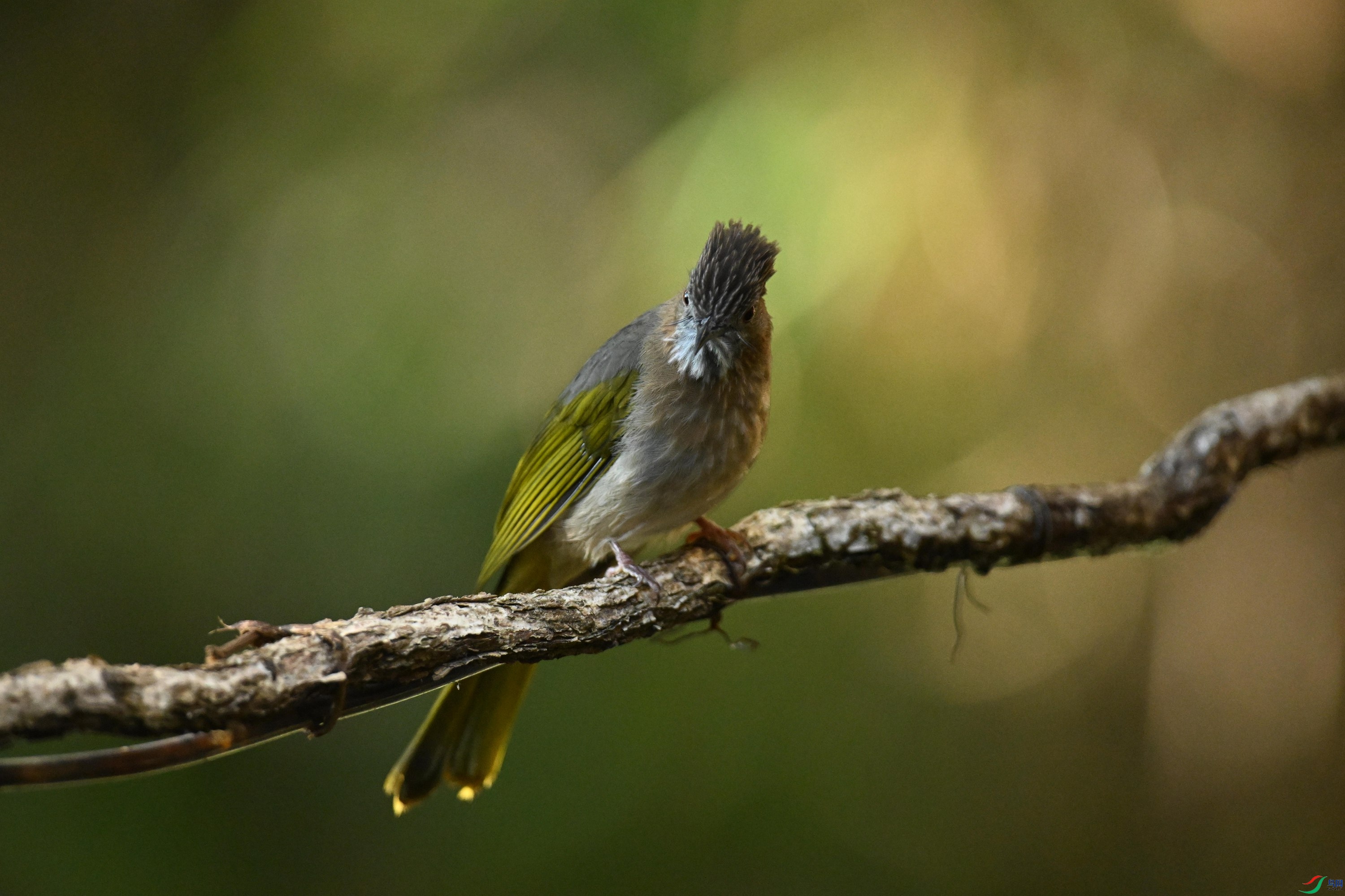 ���� (12).jpg