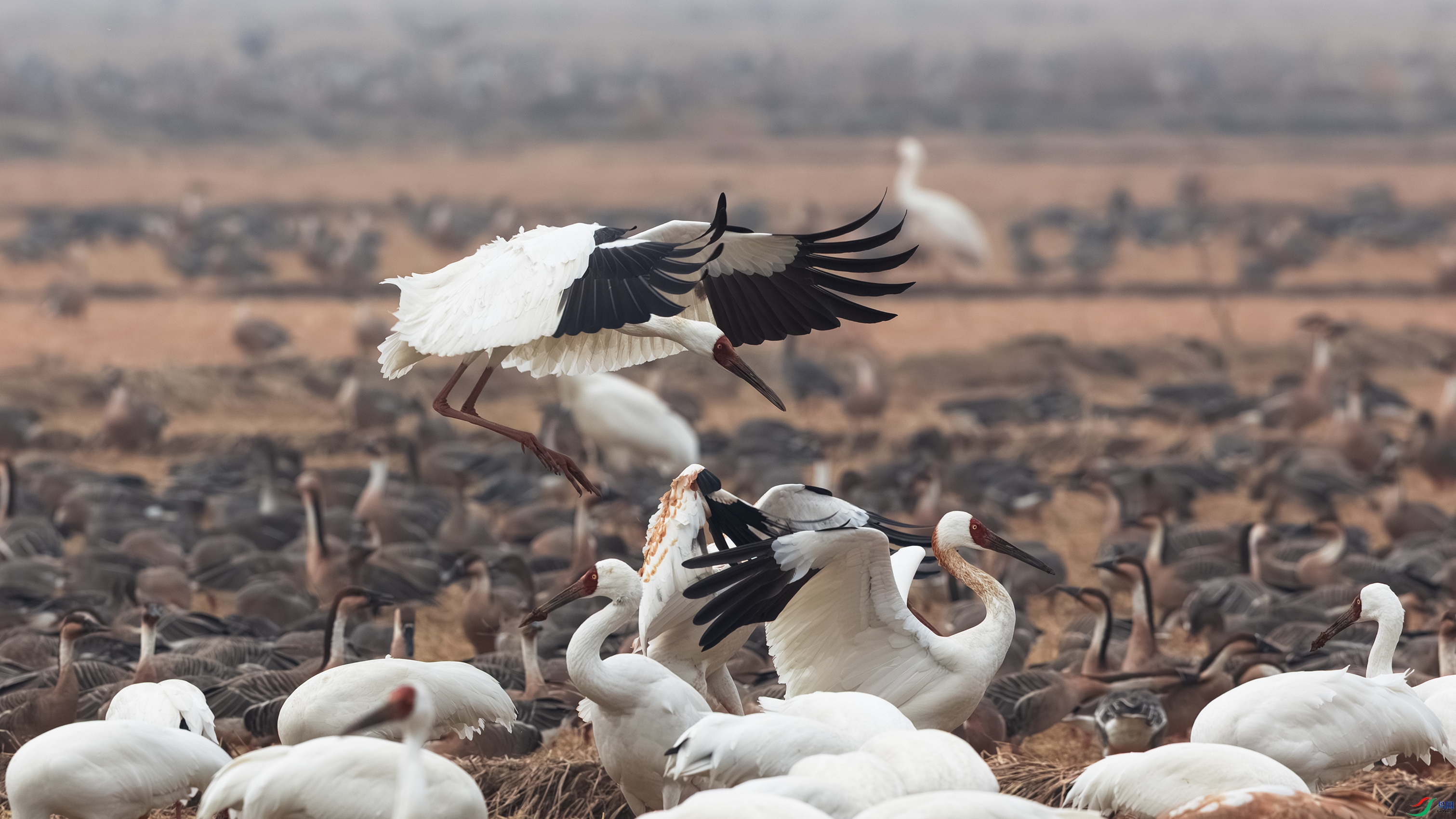 _O7A7999 ����44.jpg