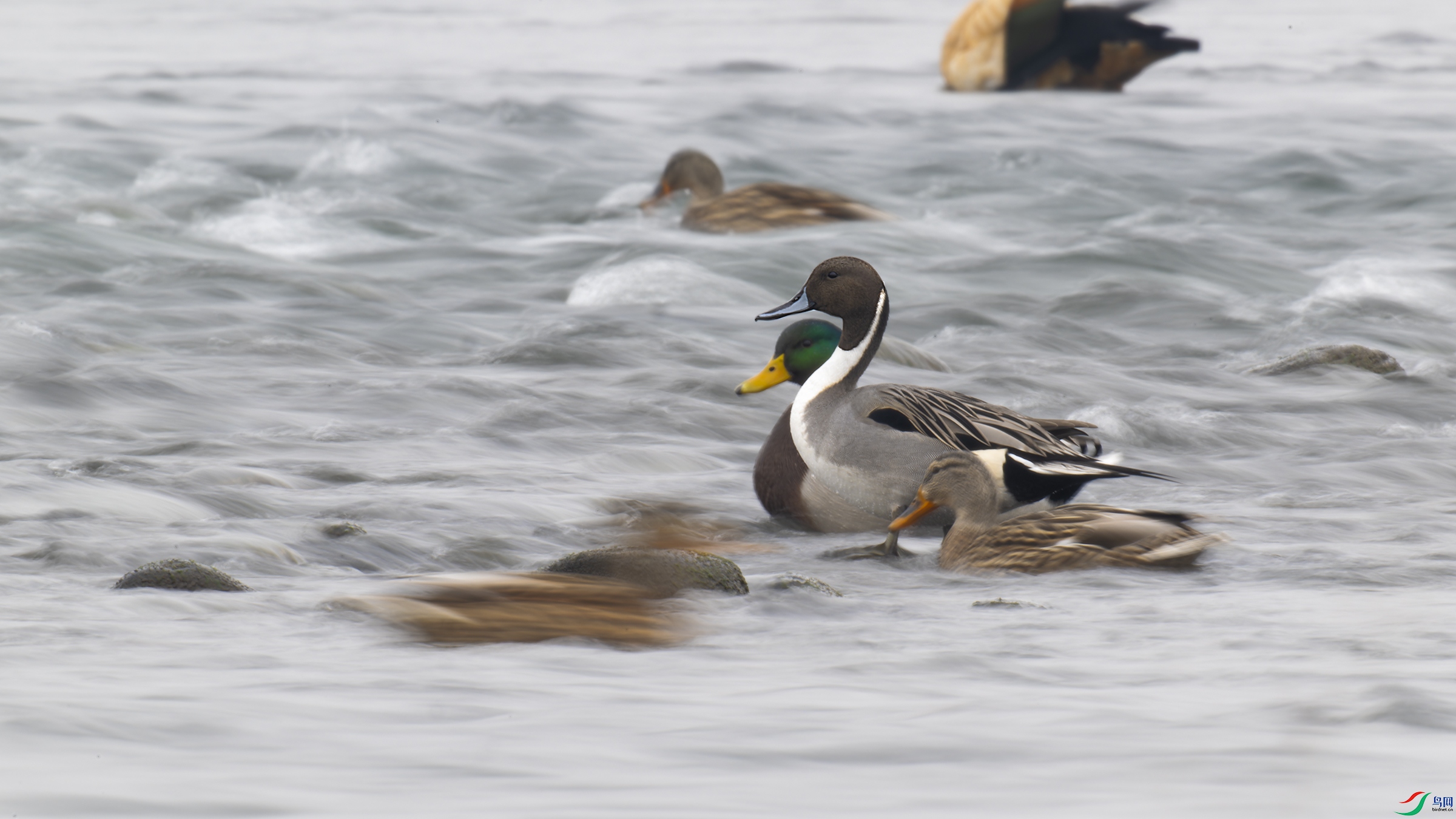 DSC_1355_DxO.jpg