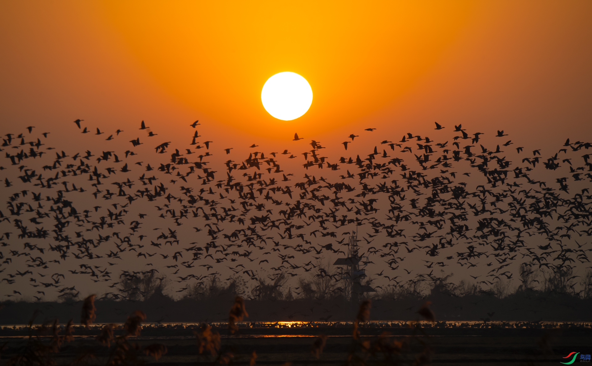 DSC_���� - ����.jpg