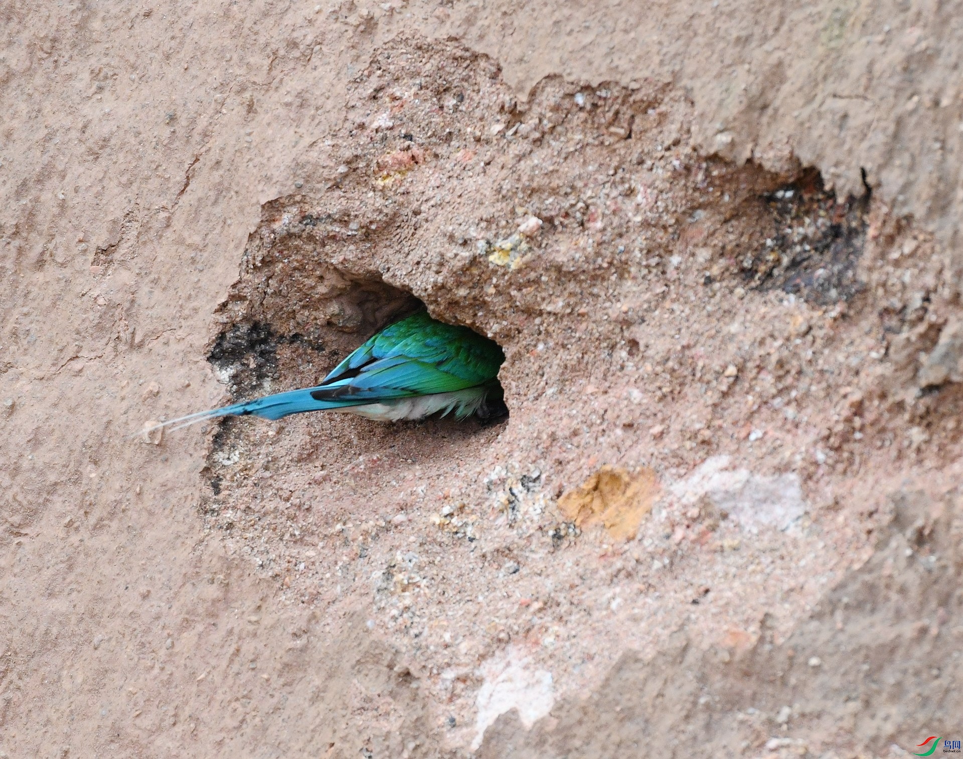DSC_0077.jpg