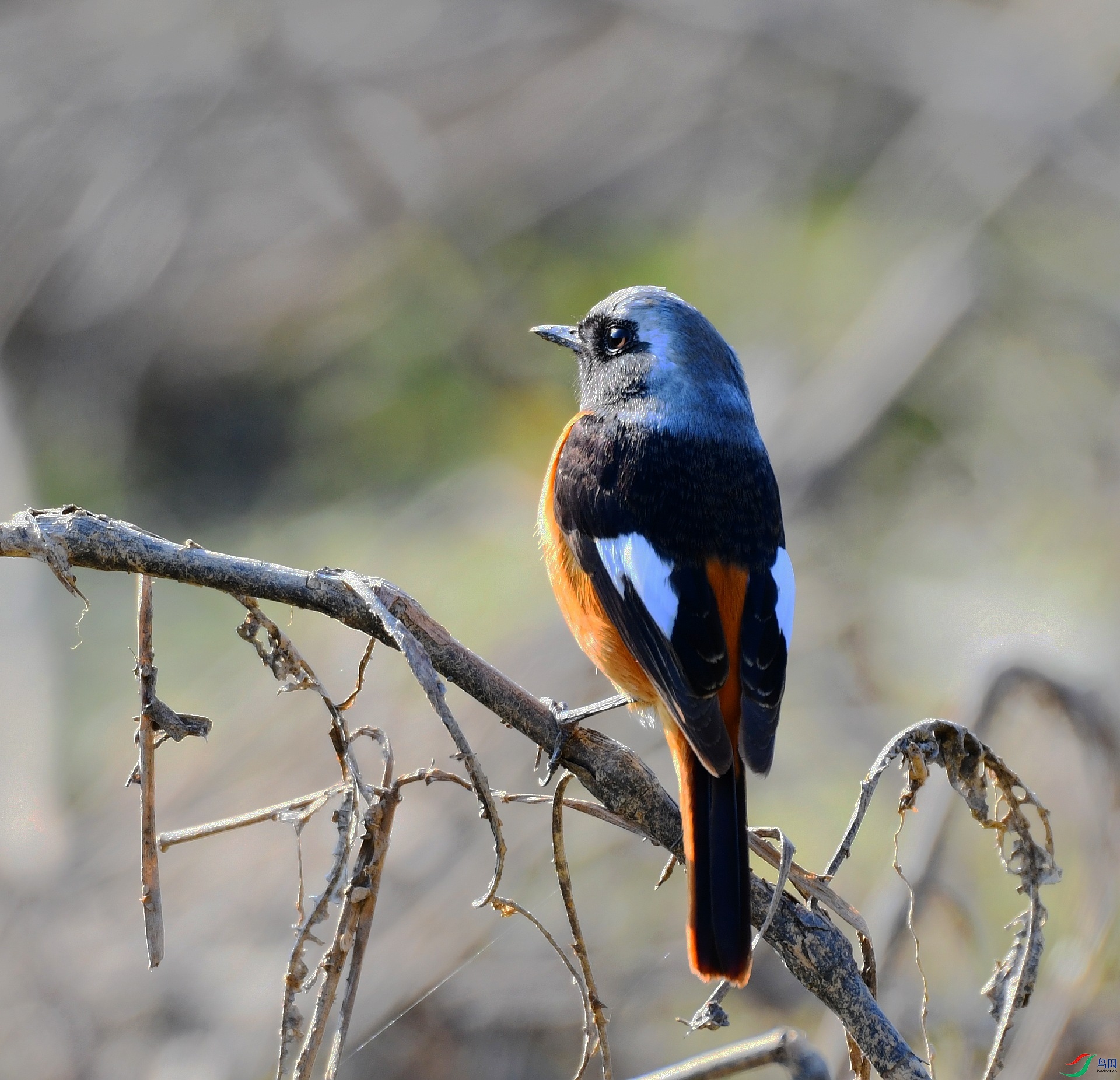 DSC_2084.jpg
