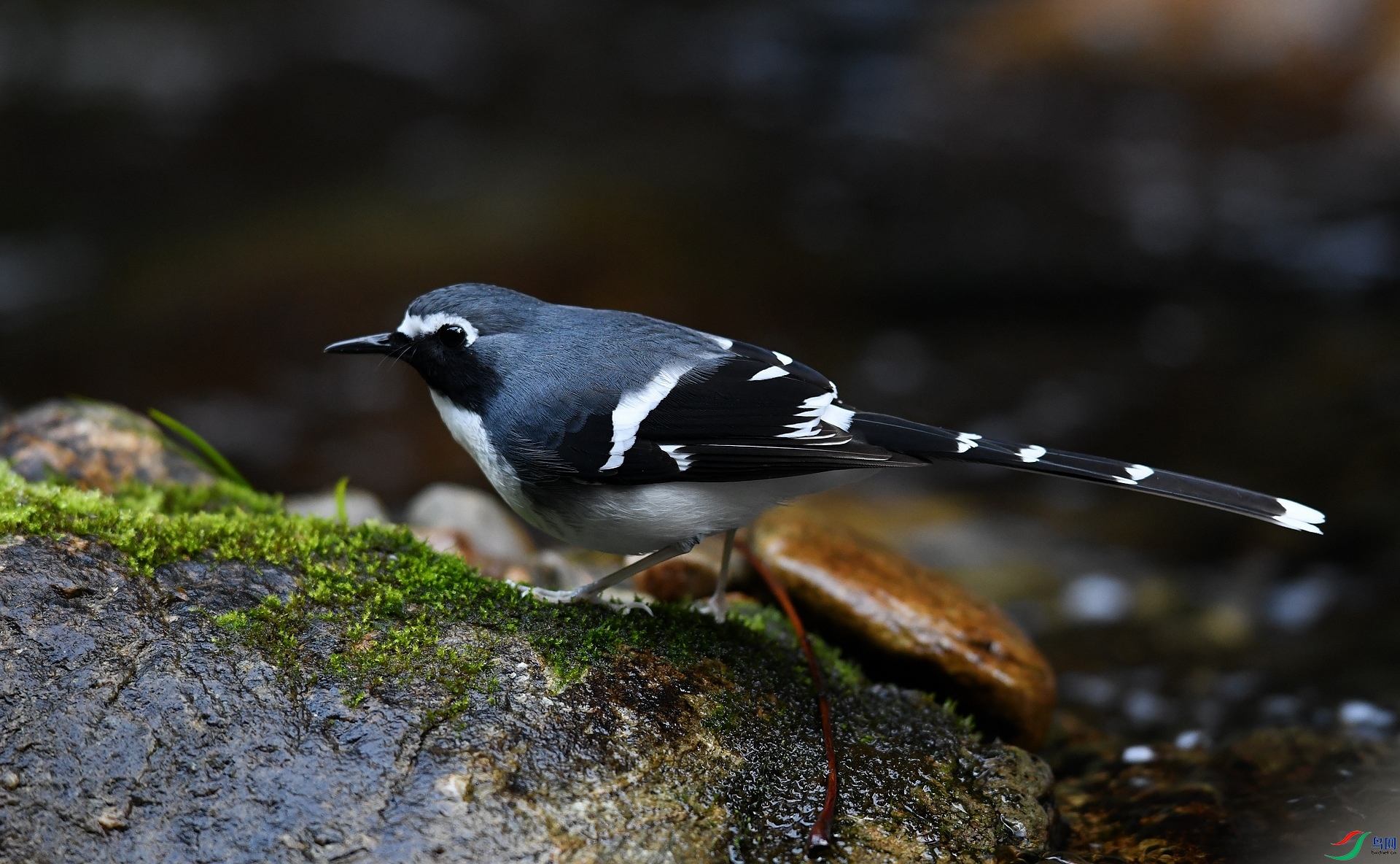 DSC_2614.jpg