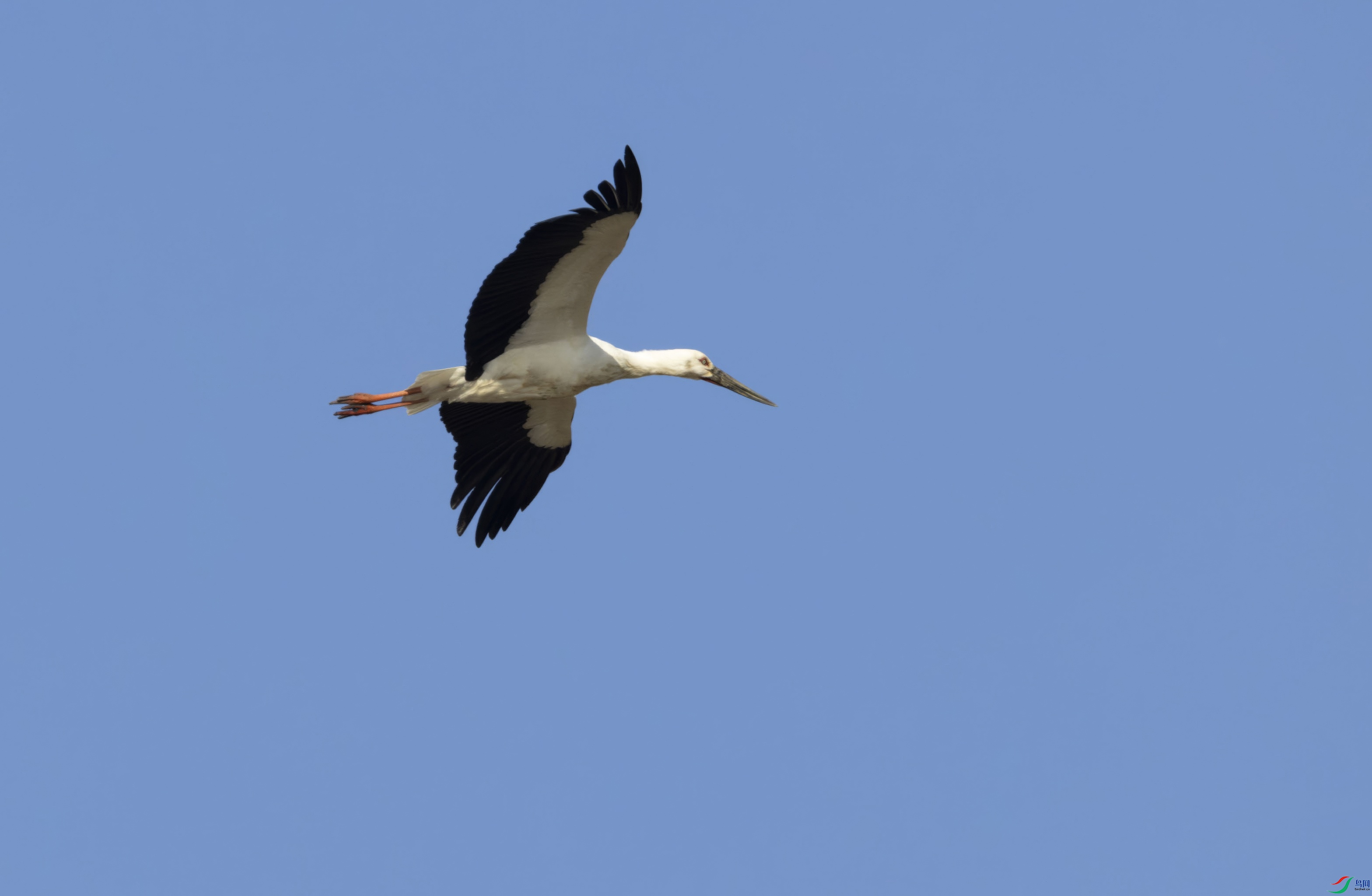 2025.11.20��Ӫ3-topaz-standard v2-1x.JPG