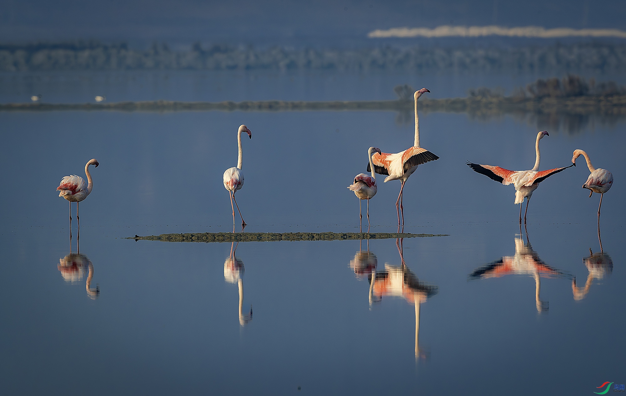 _40I1082-����ǿ-NR ����.jpg