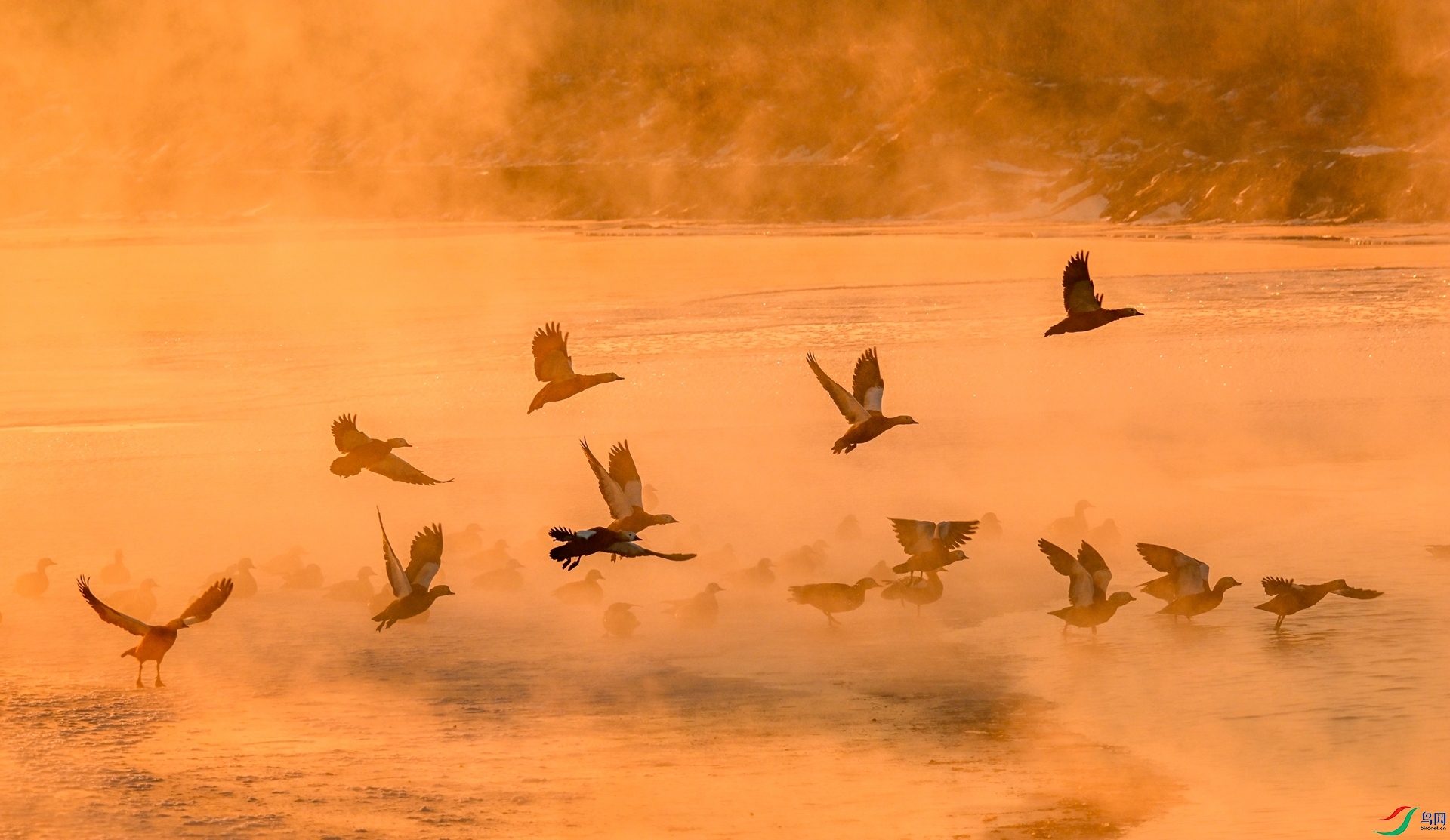 ����Ѽ��3