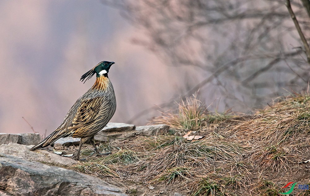 _MG_9540.jpg