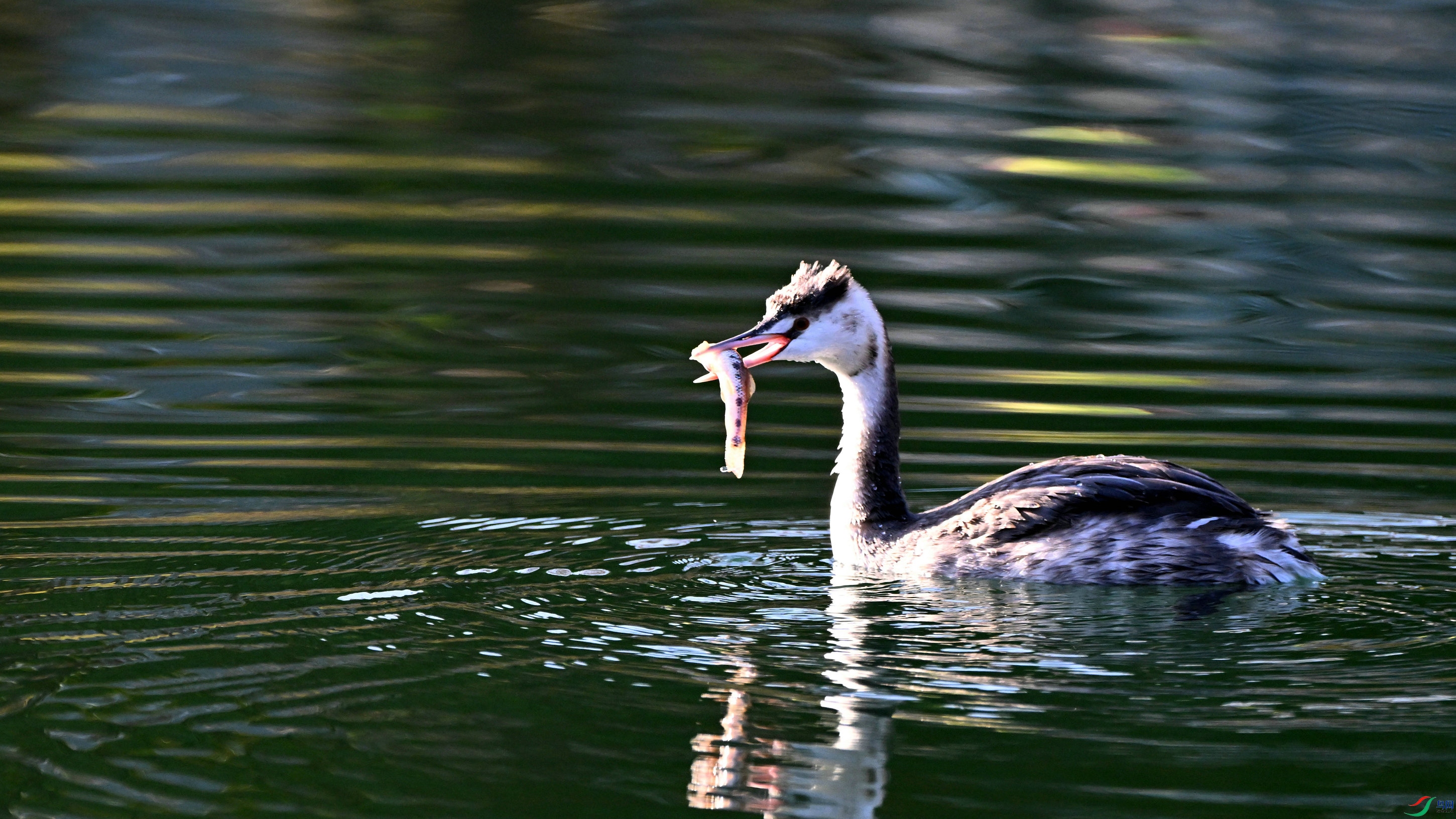 DSC_0368.JPG