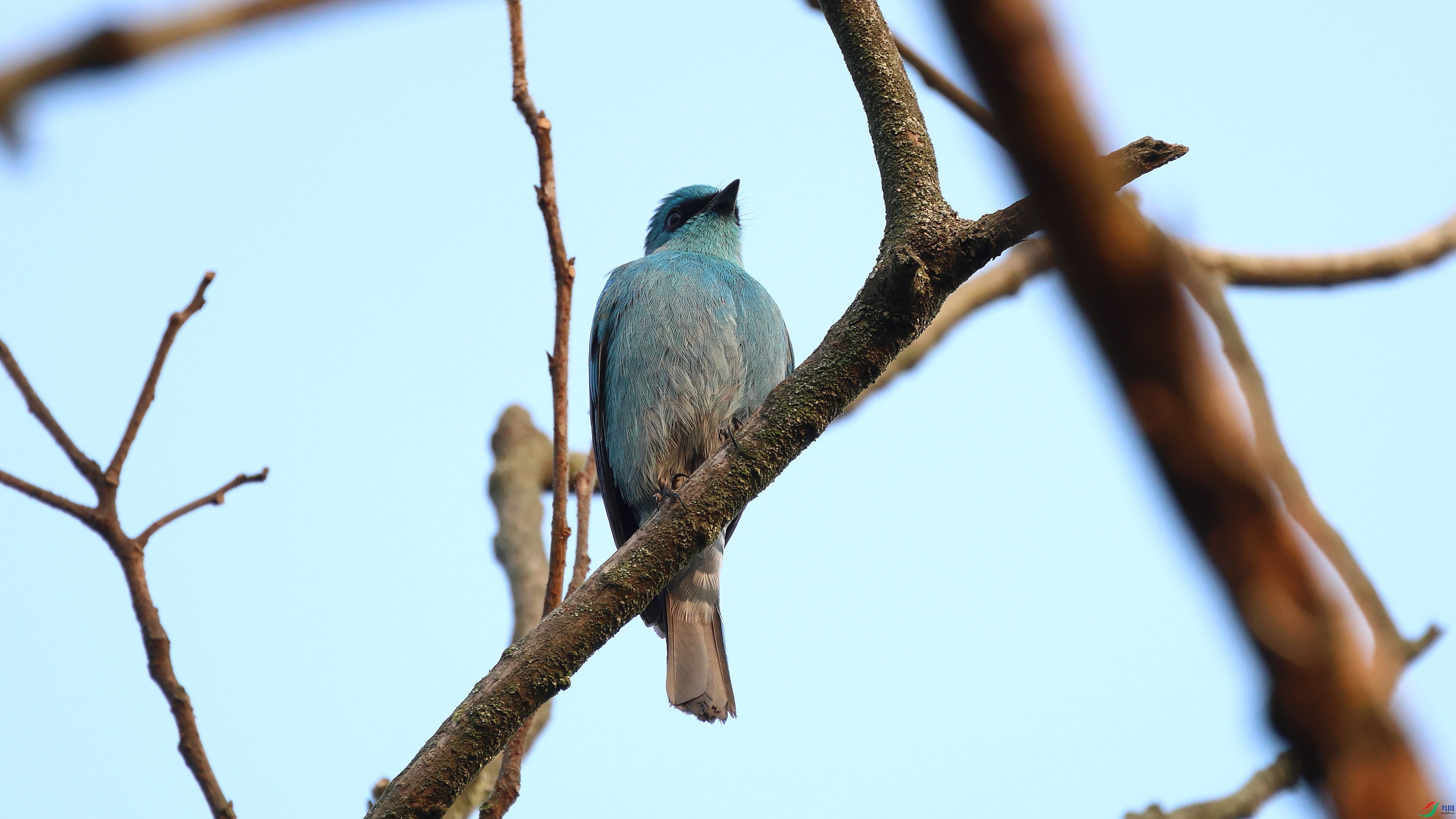 IMG_4734.JPG