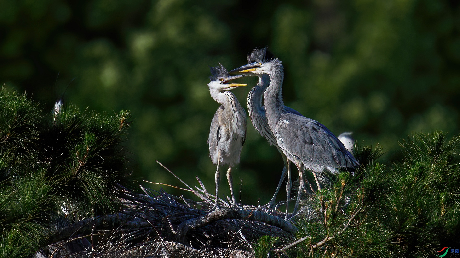 DSC_5402-20250519�ü�.jpg
