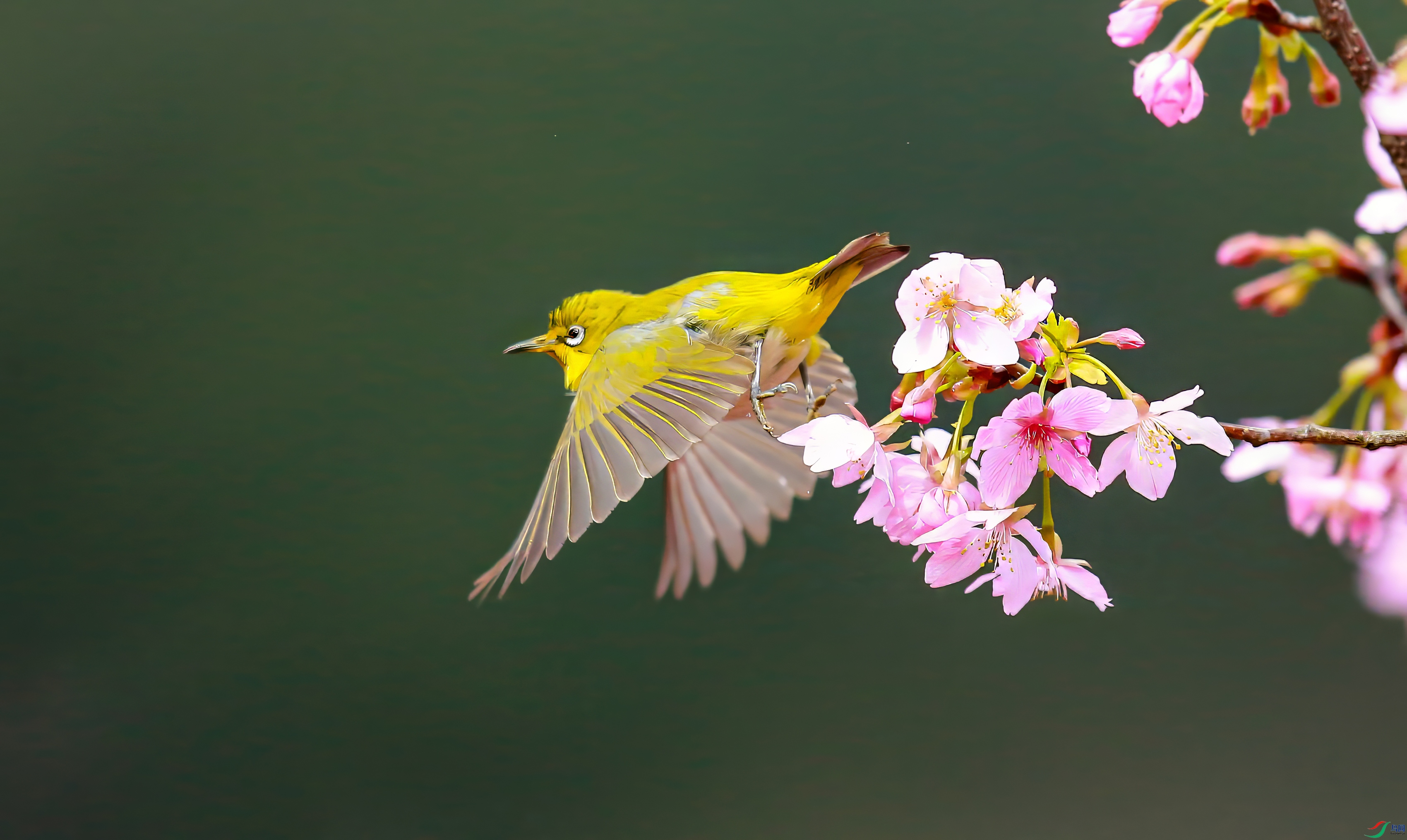 AY8Q8954.jpg