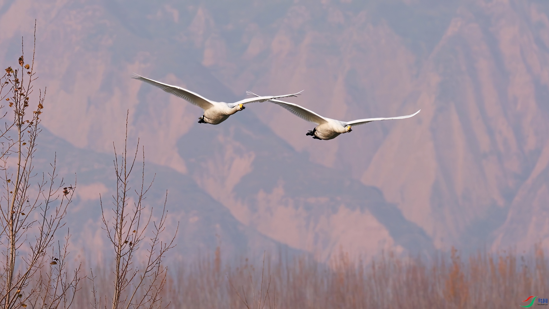 ��֡ 2025-12-28 132638_1.1.jpg