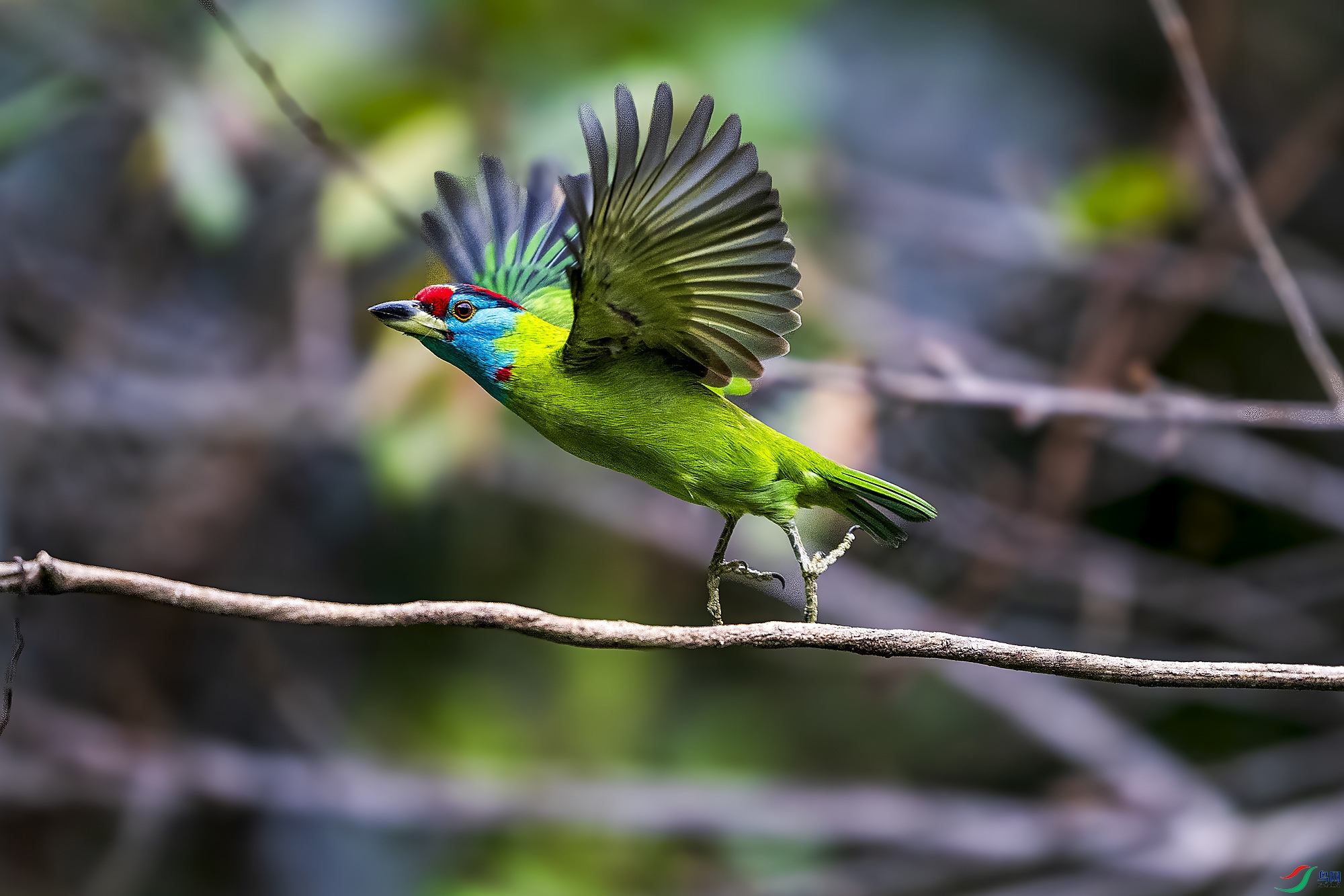 _DSC8610 ���� 2.jpg