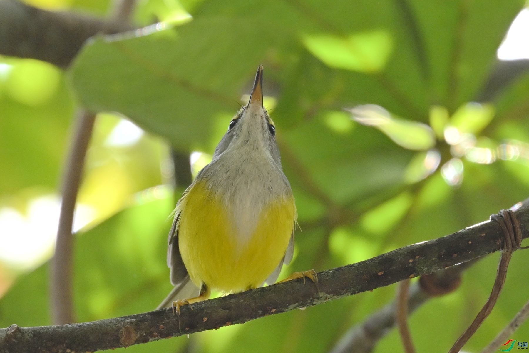 DSC_5916.JPG