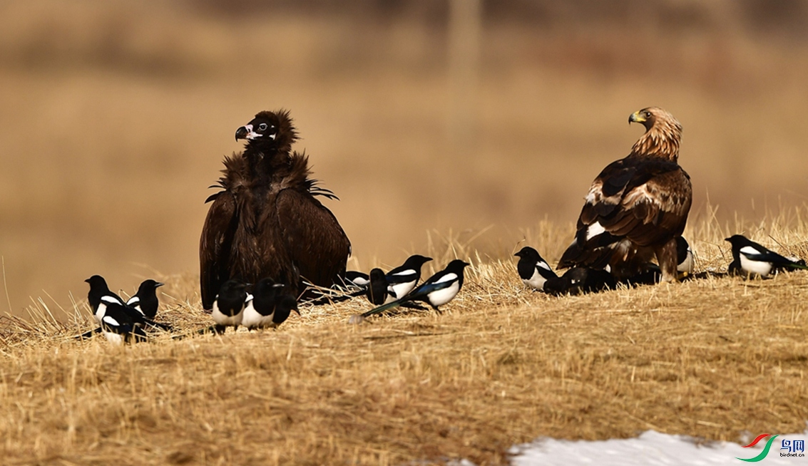 ѧ���ദ��