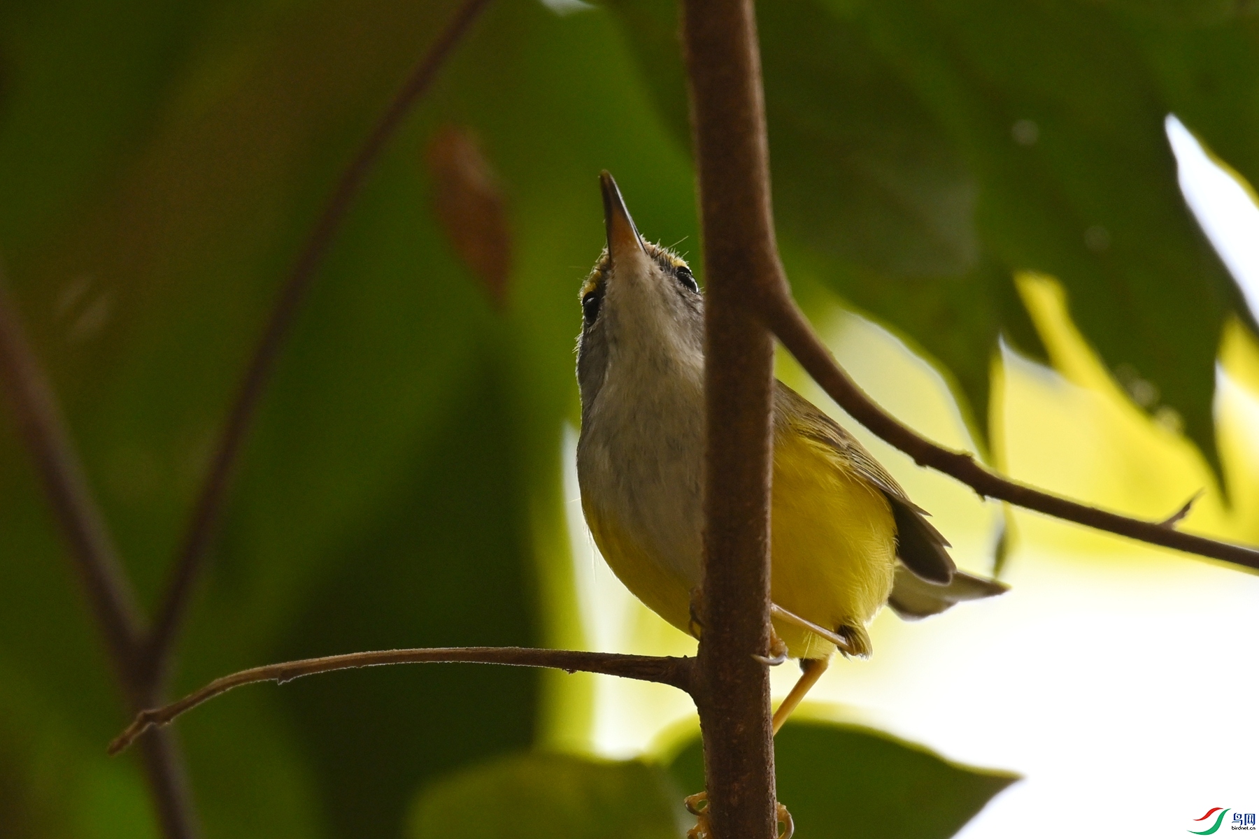DSC_5932.JPG