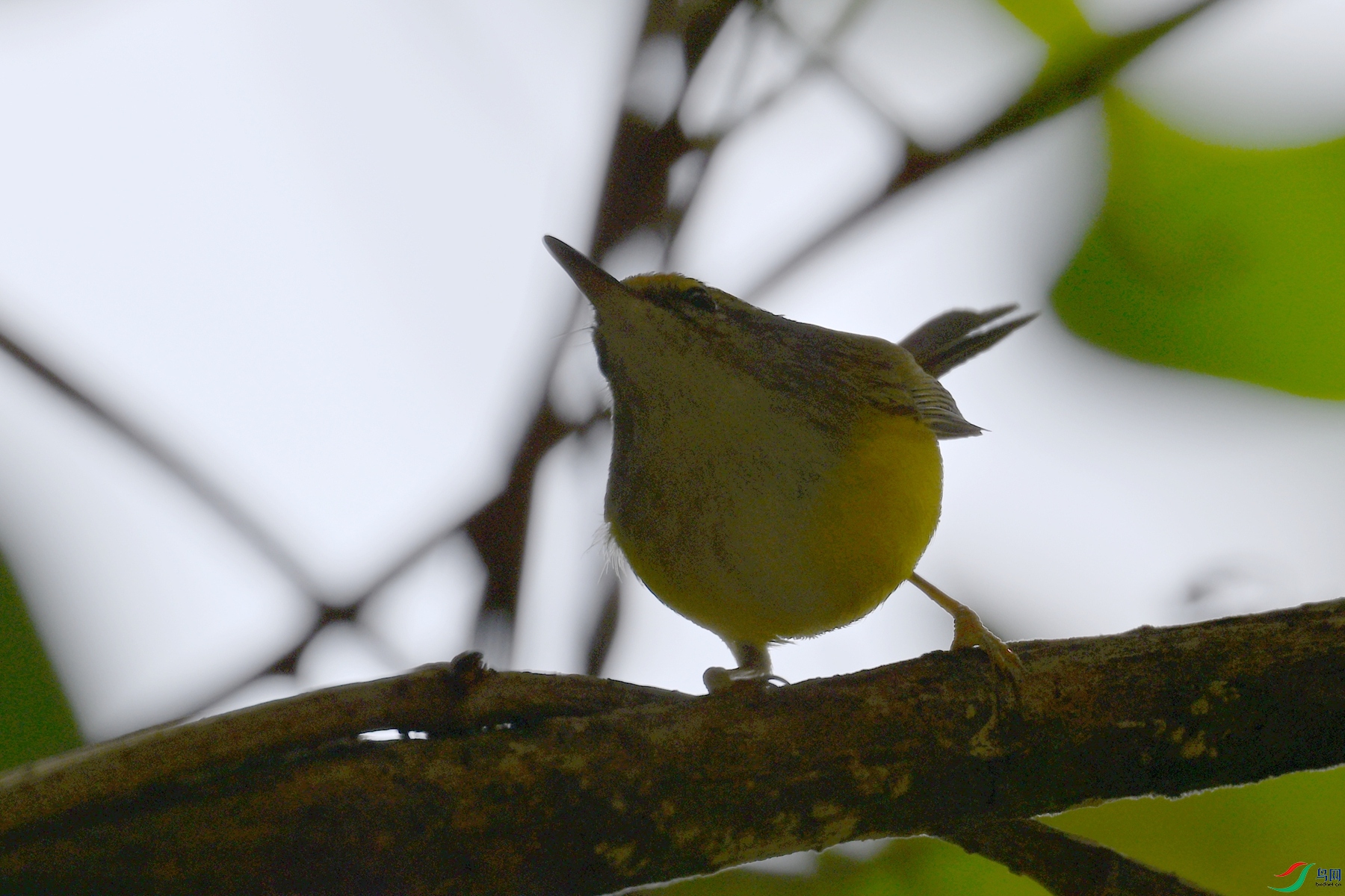 DSC_5939.JPG