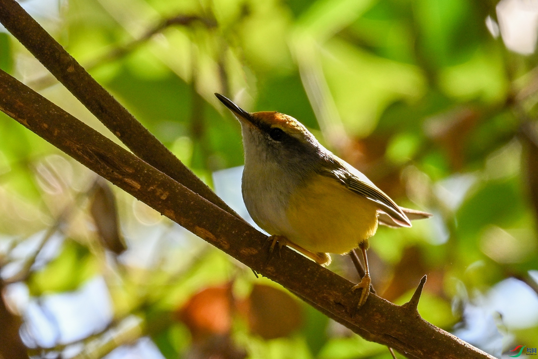 DSC_5943.JPG