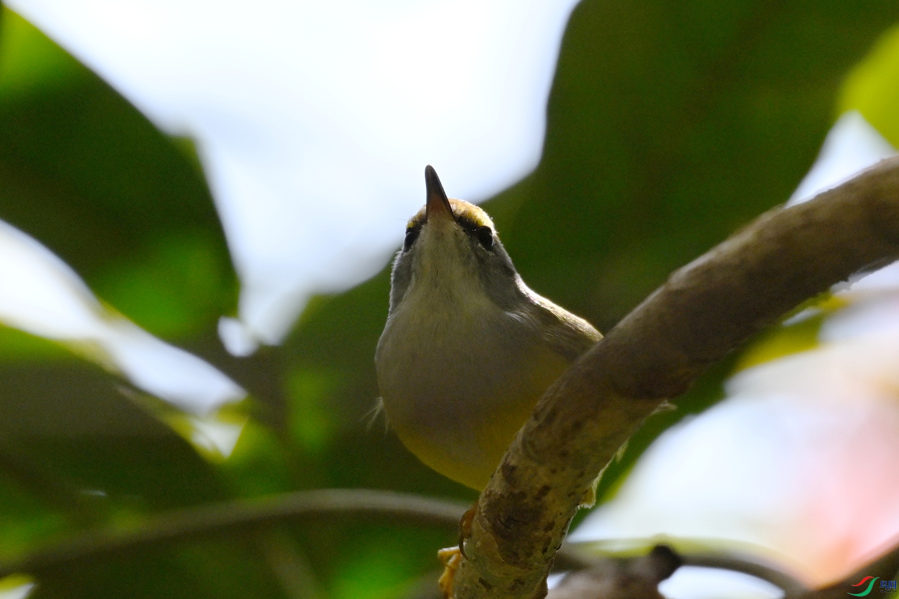DSC_5945.JPG