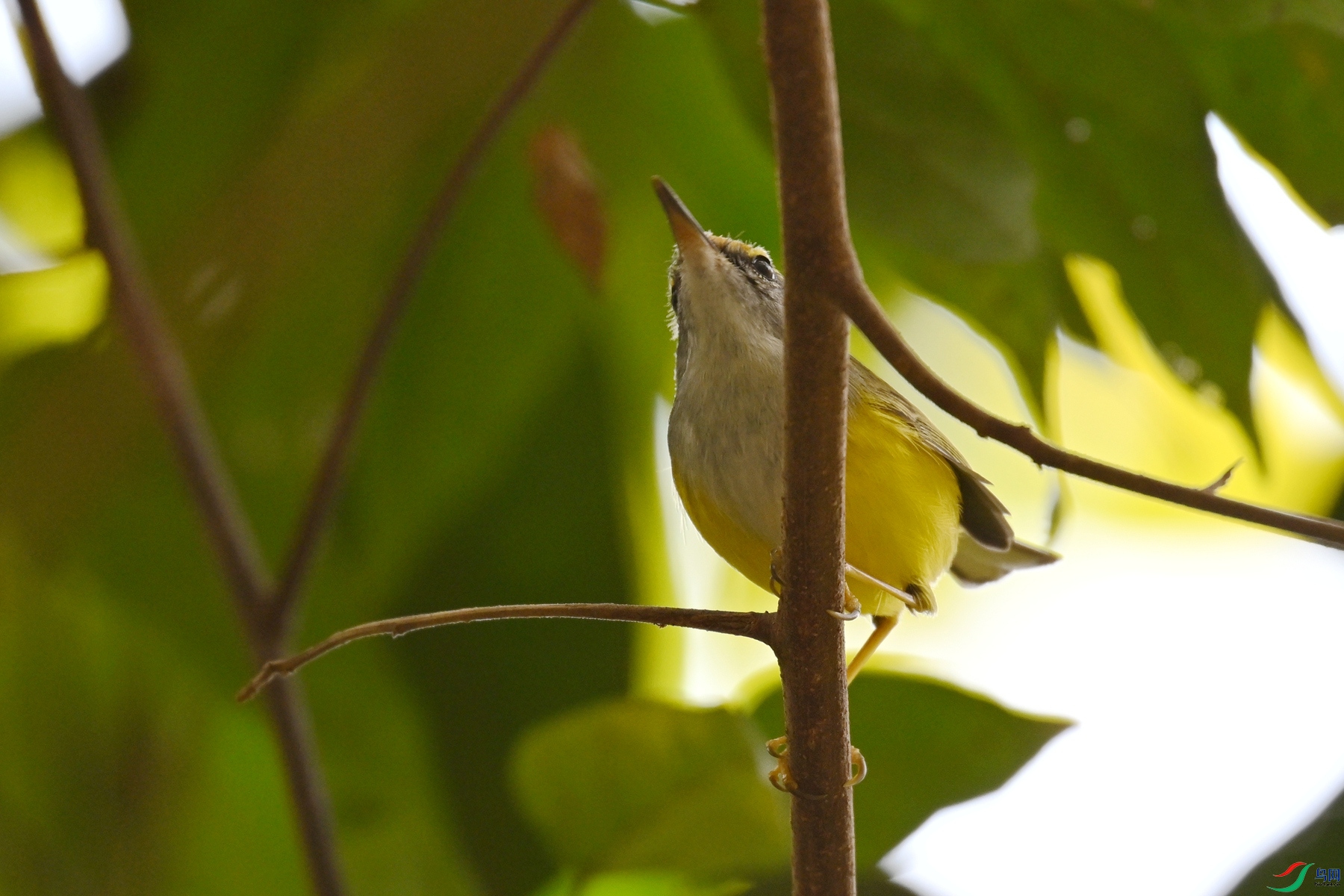 DSC_5933.JPG
