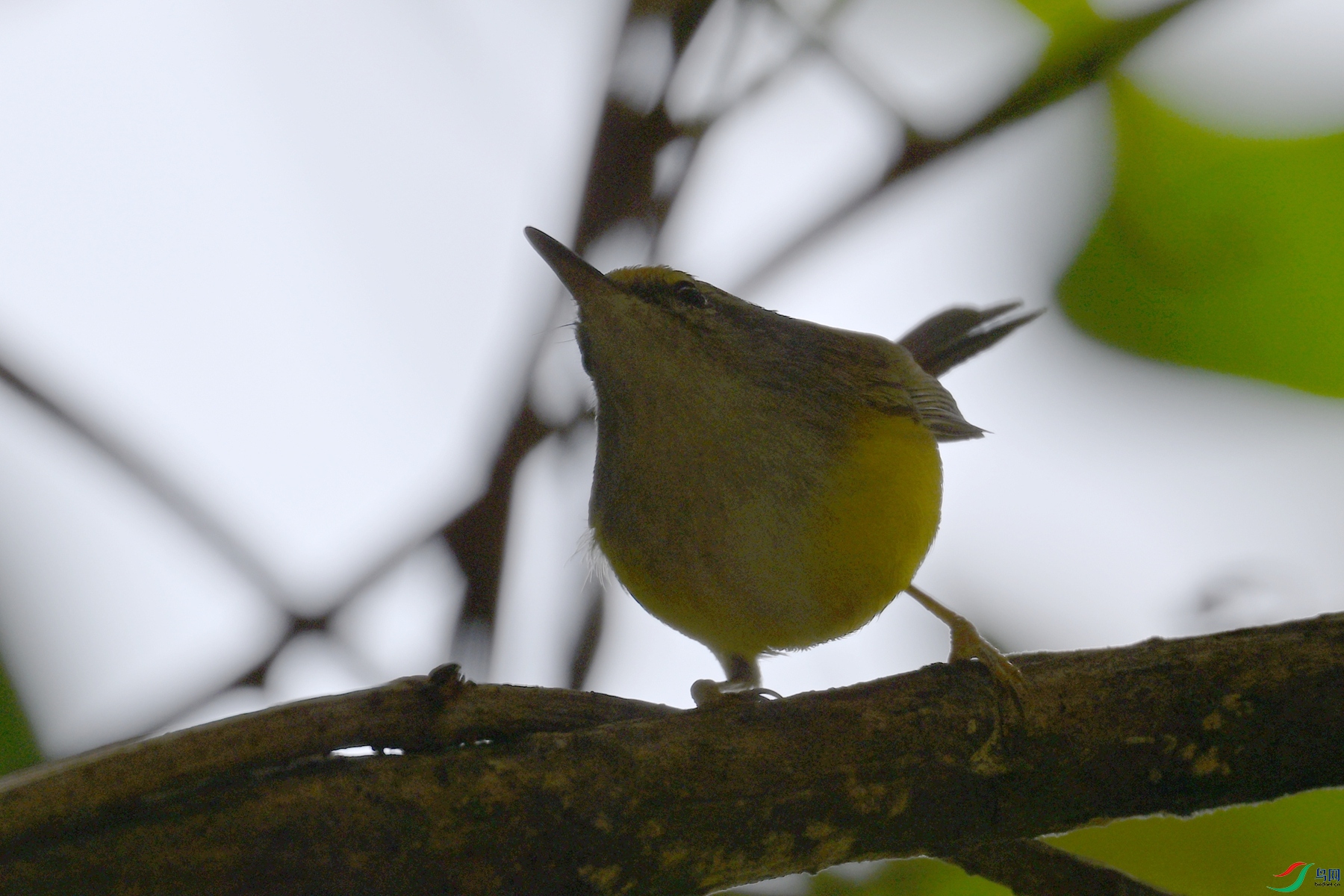 DSC_5940.JPG
