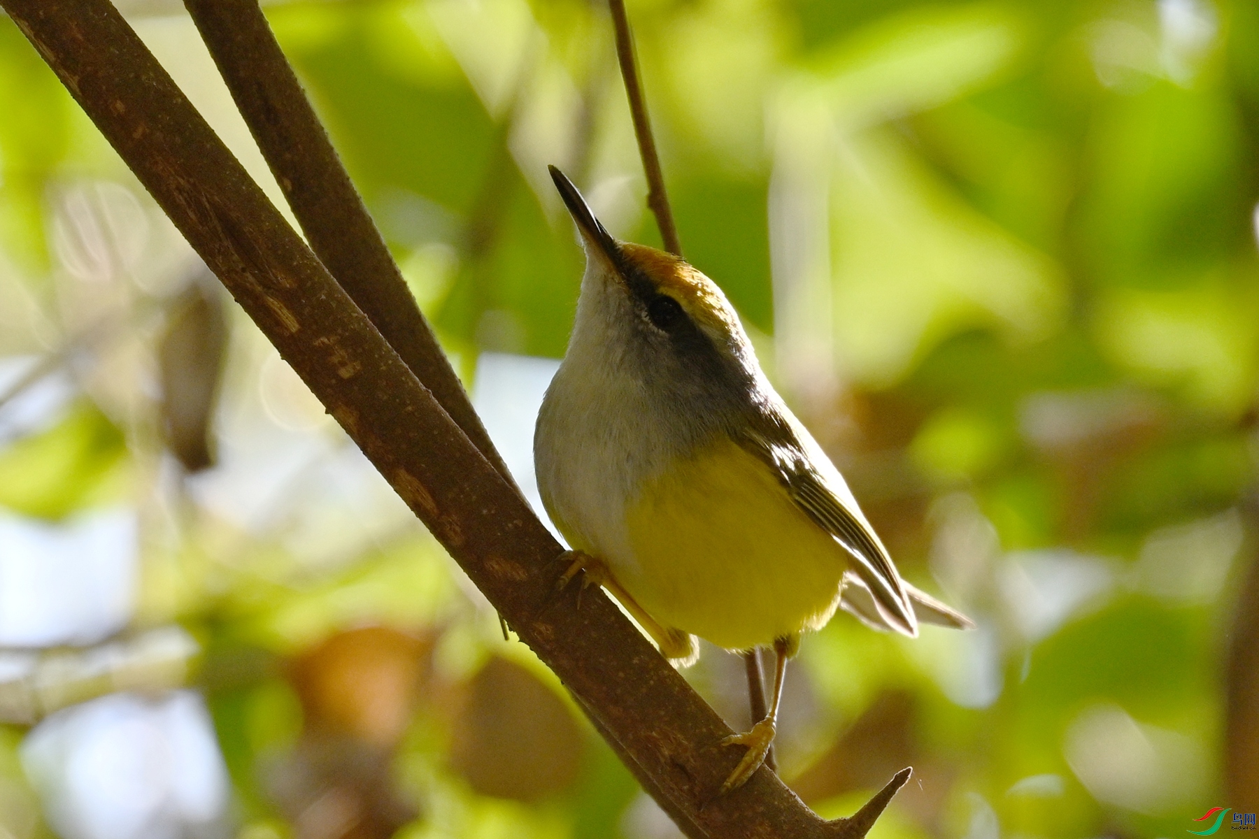 DSC_5942.JPG